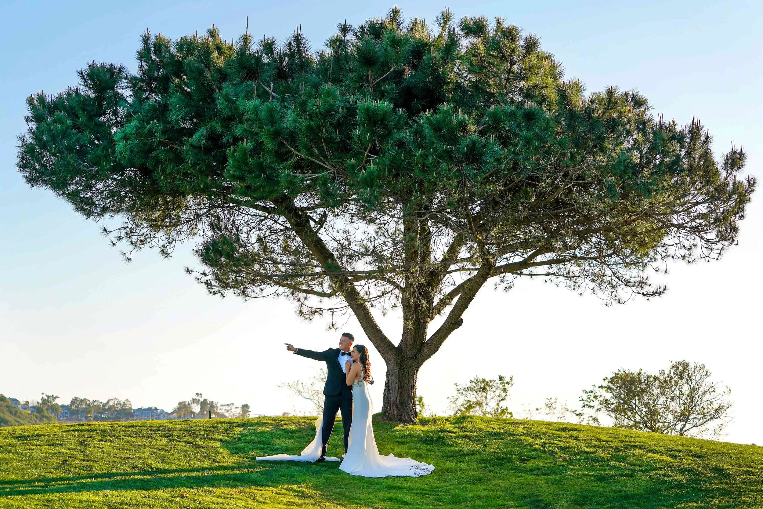 A full-length outdoor photograph of a newly married couple posing under a large pine tree on a grassy hill. The groom wears a black tuxedo and bow tie and points off to the left, while the bride stands beside him in a white lace wedding dress with a 