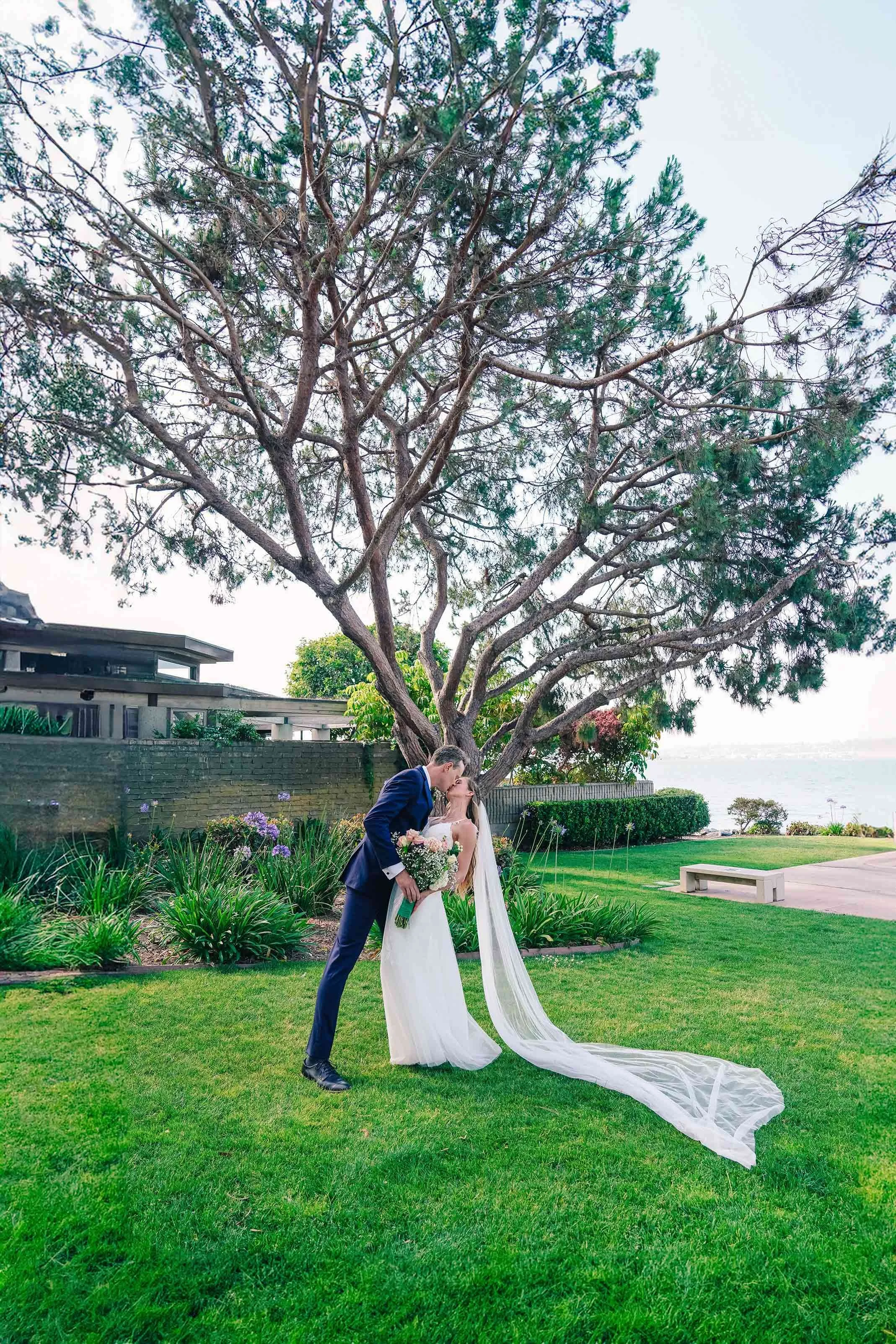 A bride in a white lace gown and a groom in a navy blue suit share a kiss on a green lawn under a large tree, with the bride's long veil trailing on the grass, overlooking the water in San Diego.