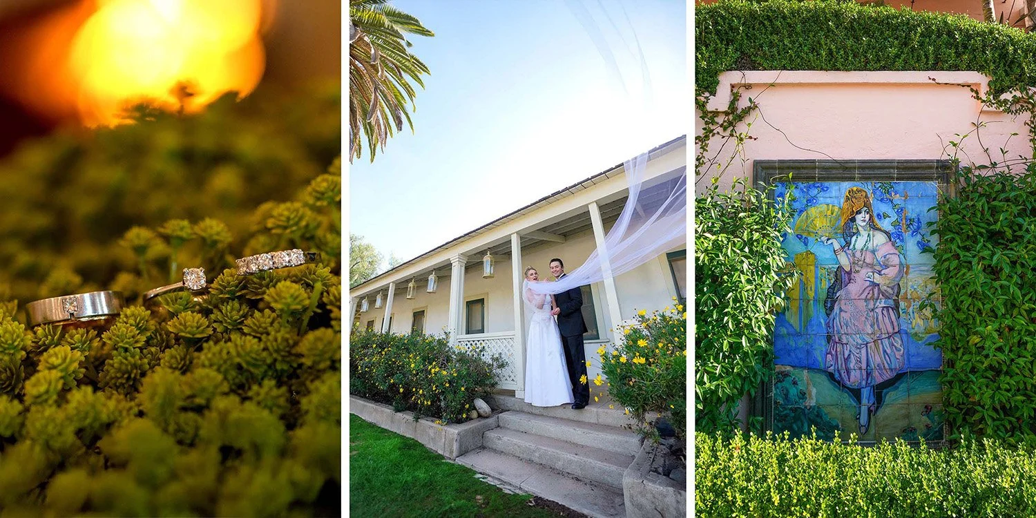 Left: A close-up, shallow-depth-of-field shot of three diamond-encrusted wedding rings nestled in a bed of bright green, succulent-like groundcover. A warm, golden light glows softly in the blurred background.
Center: A bride in a white gown and a gr