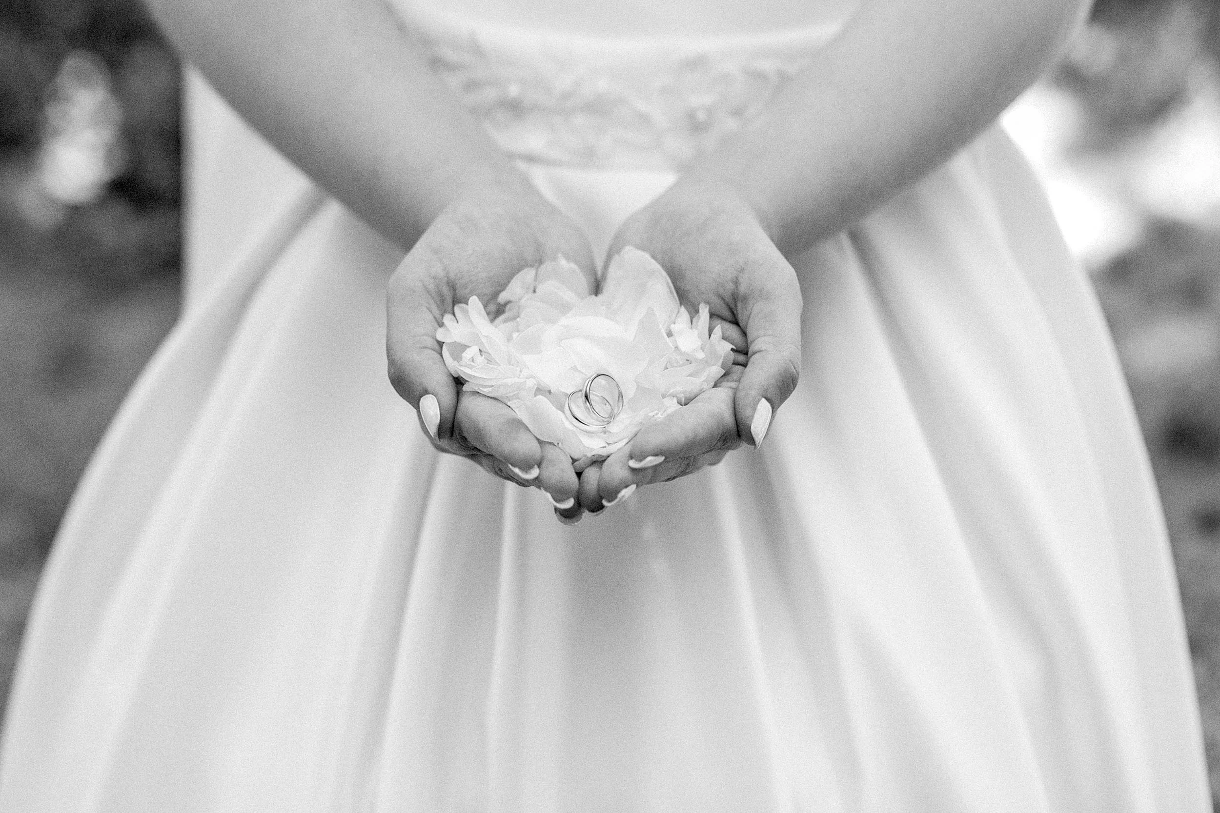 A black and white, close-up shot of a bride's hands cupped together, holding a delicate pile of white flower petals with two wedding rings nestled in the center. The bride is wearing a white wedding dress with a subtle, embroidered waistband.