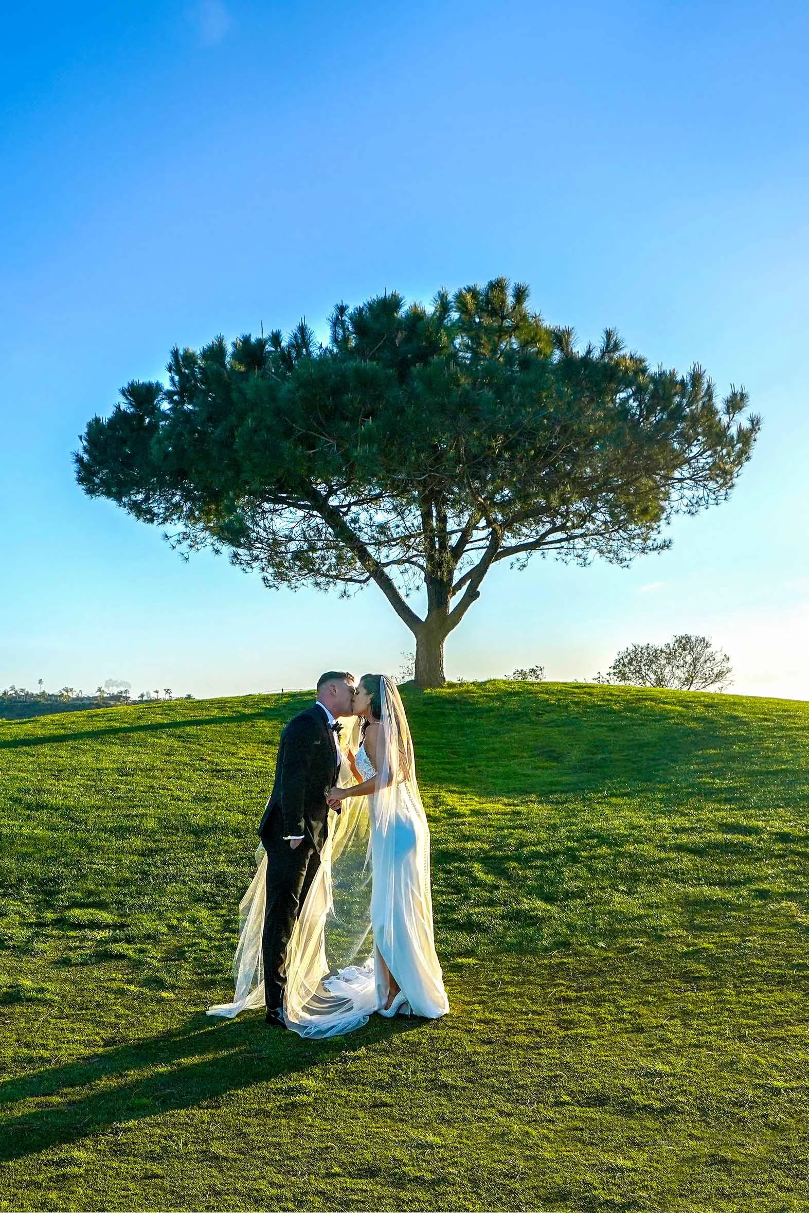 A full-length outdoor photograph of a newly married couple kissing on a grassy hill on a sunny day. The groom wears a black tuxedo and bow tie, and the bride wears a white wedding dress with a high leg slit and a long veil that trails on the grass. T