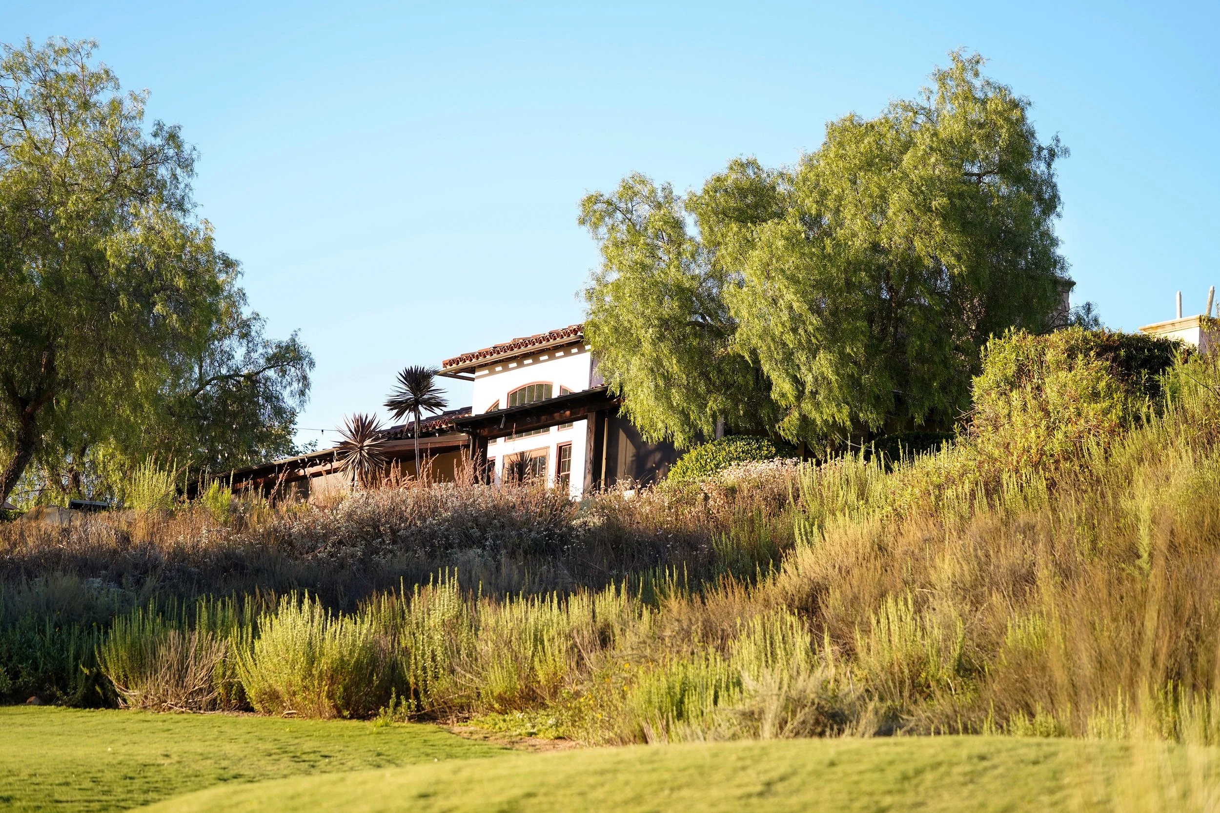 An elevated, daytime view of a Spanish Colonial or Tuscan-style building with white stucco walls and a red tile roof, situated on a scrub-covered hill overlooking a green lawn, surrounded by large trees and a clear blue sky.