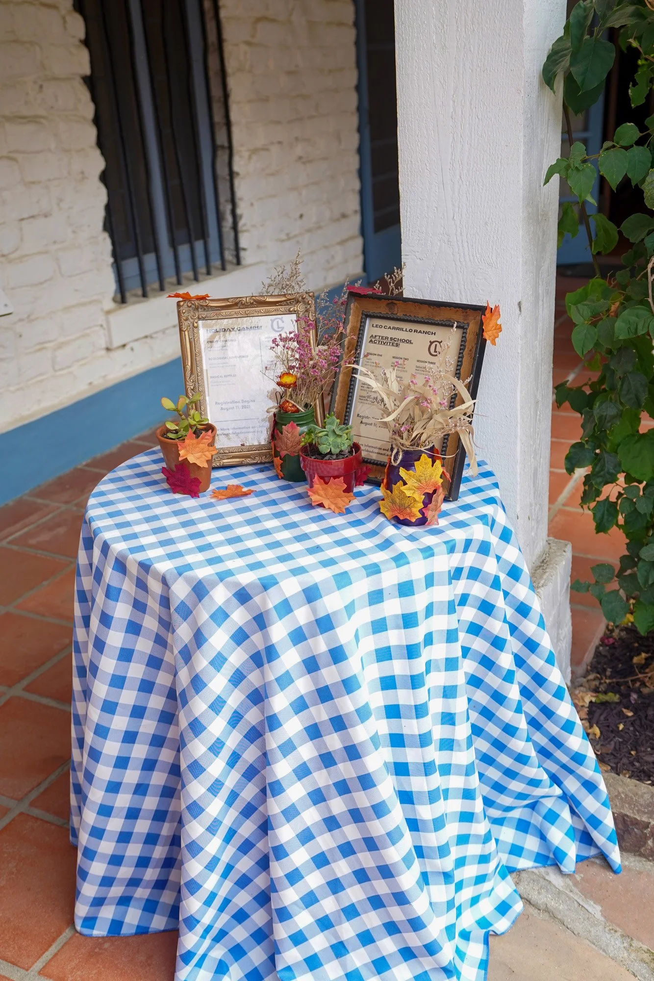 A photo of a small, round table on an outdoor terracotta-tiled patio, covered with a blue and white checkered gingham tablecloth and decorated with autumnal centerpieces including potted succulents and framed signs with dried wheat stalks. A white br