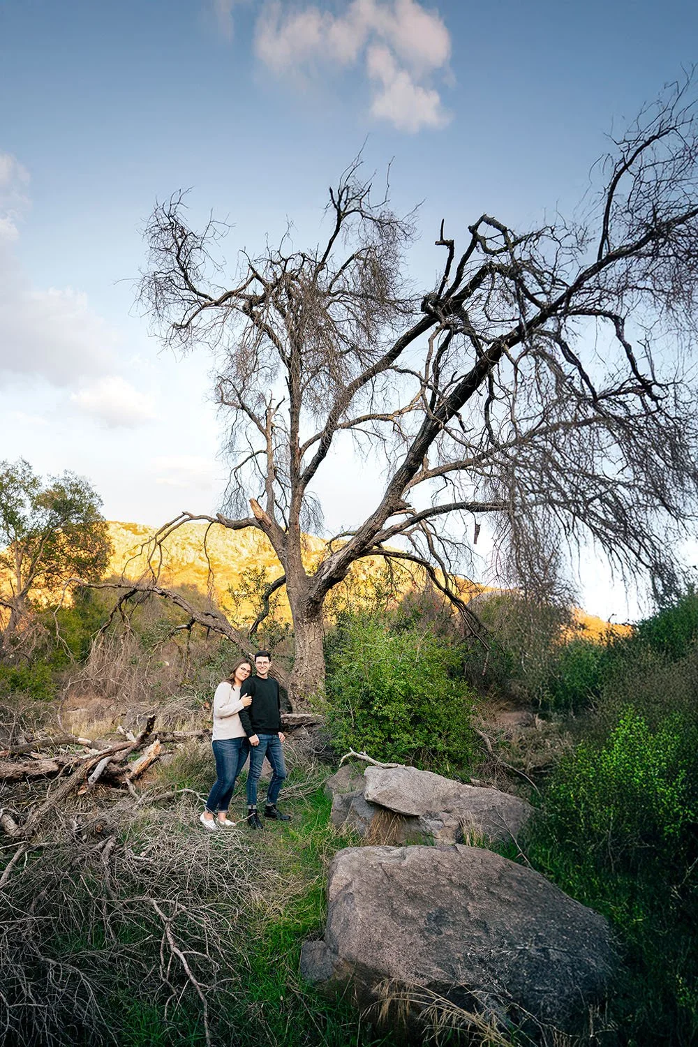 A young couple stands close together in a rocky outdoor area with a large bare tree behind them and a mountain in the background during sunset.