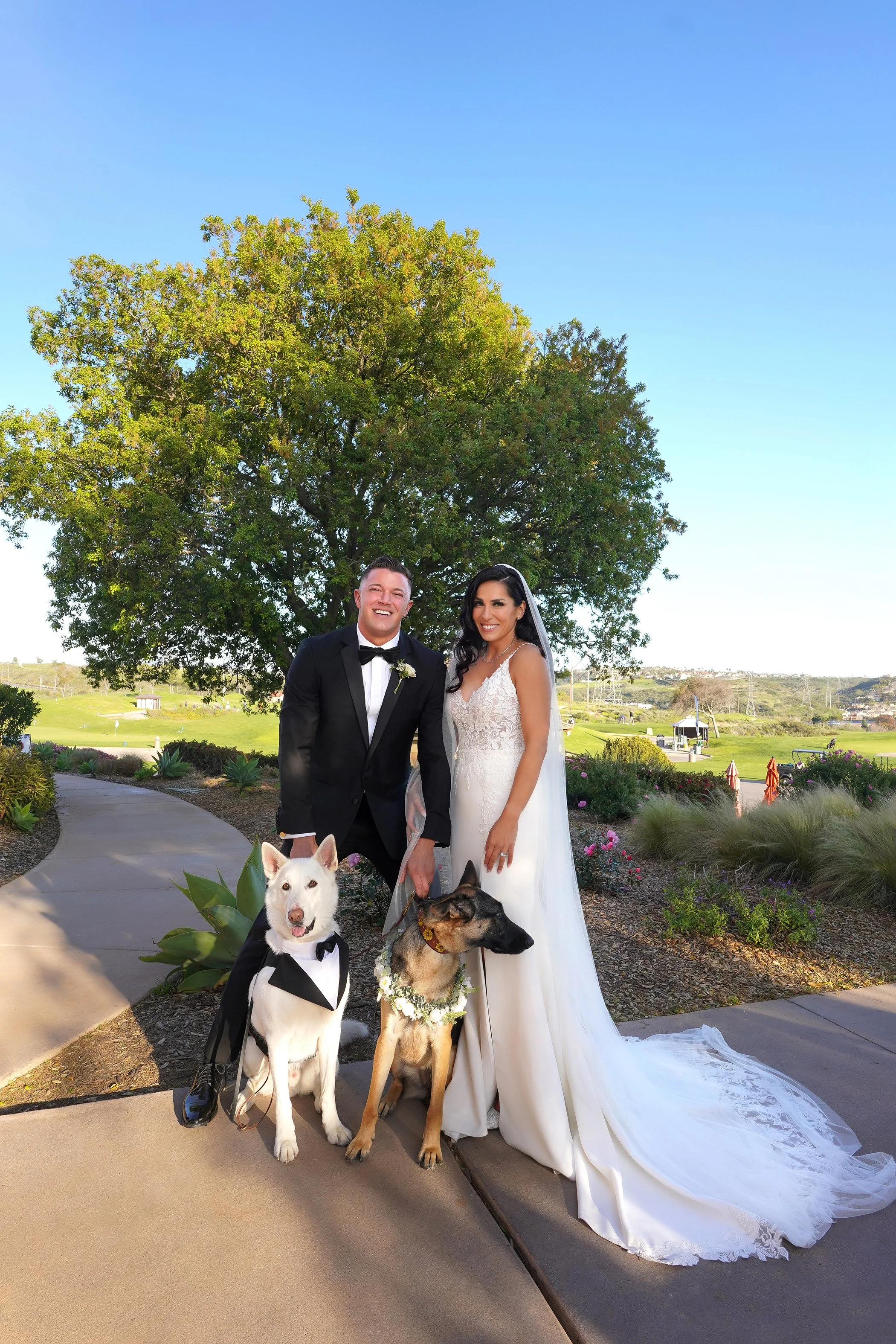 Outdoor wedding photography at The crossings in Carslbad, featuring a bride and groom posing with their dogs in wedding attire.