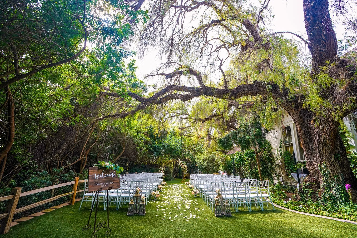 An outdoor wedding ceremony setup under large, lush trees with drooping branches, featuring rows of white chairs lining an aisle scattered with white flower petals, a welcome sign, and lanterns at San Marcos, california.