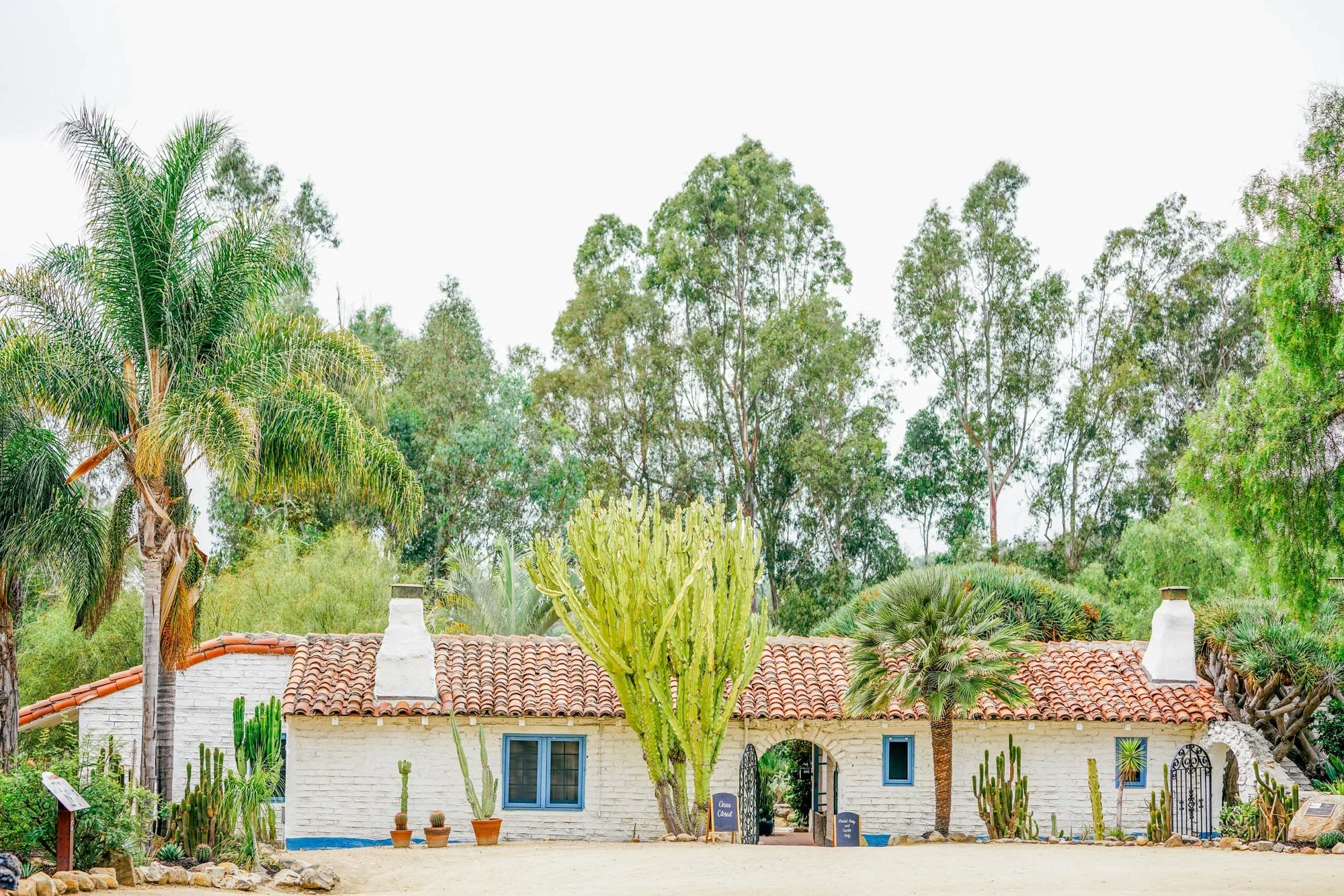 A photo of the main white adobe hacienda building at the Leo Carrillo Ranch Historic Park in Carlsbad, California, which has a red tiled roof, blue-trimmed windows, a large green euphorbia cactus plant next to an archway entrance, and is surrounded b