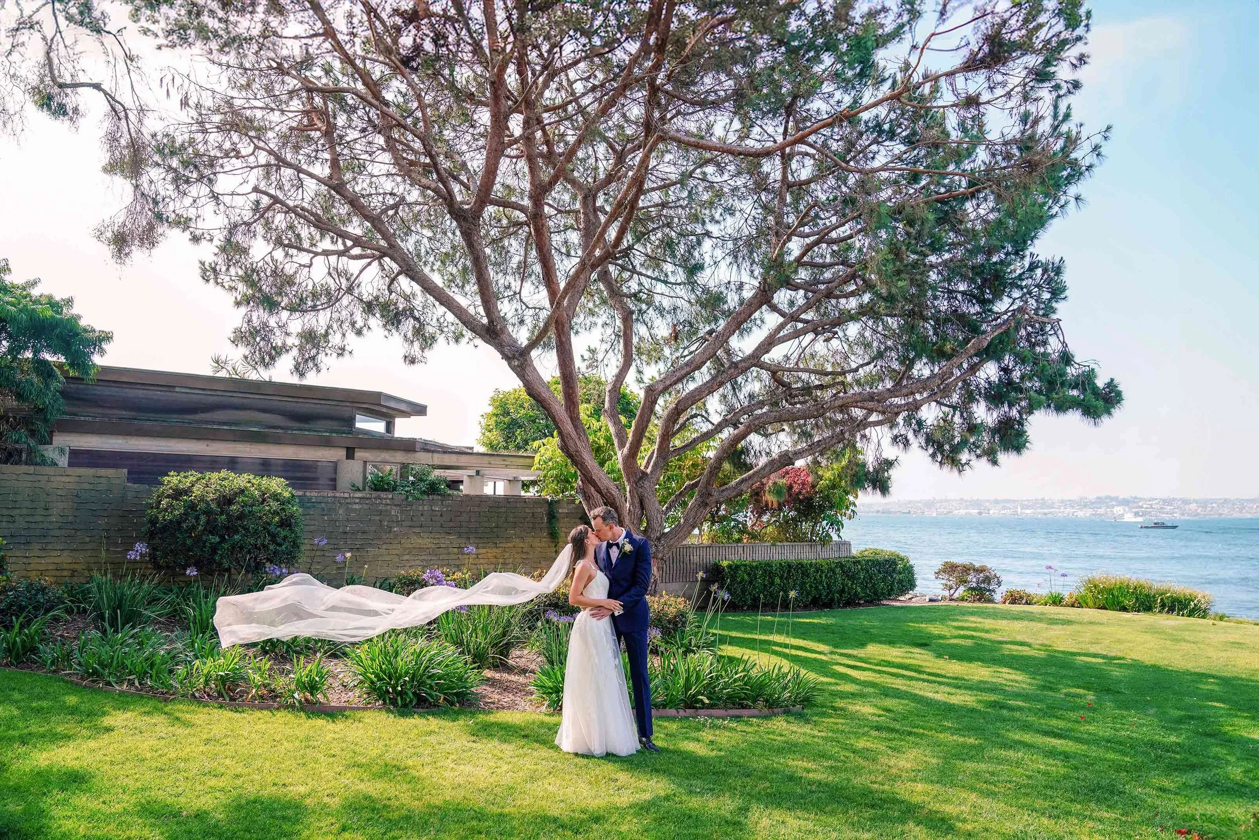A bride and groom share a kiss under a large tree on a sunny day, standing on a green lawn with the bride's long white veil flowing in the breeze, overlooking the water with the Downtown San Diego skyline in the distance.