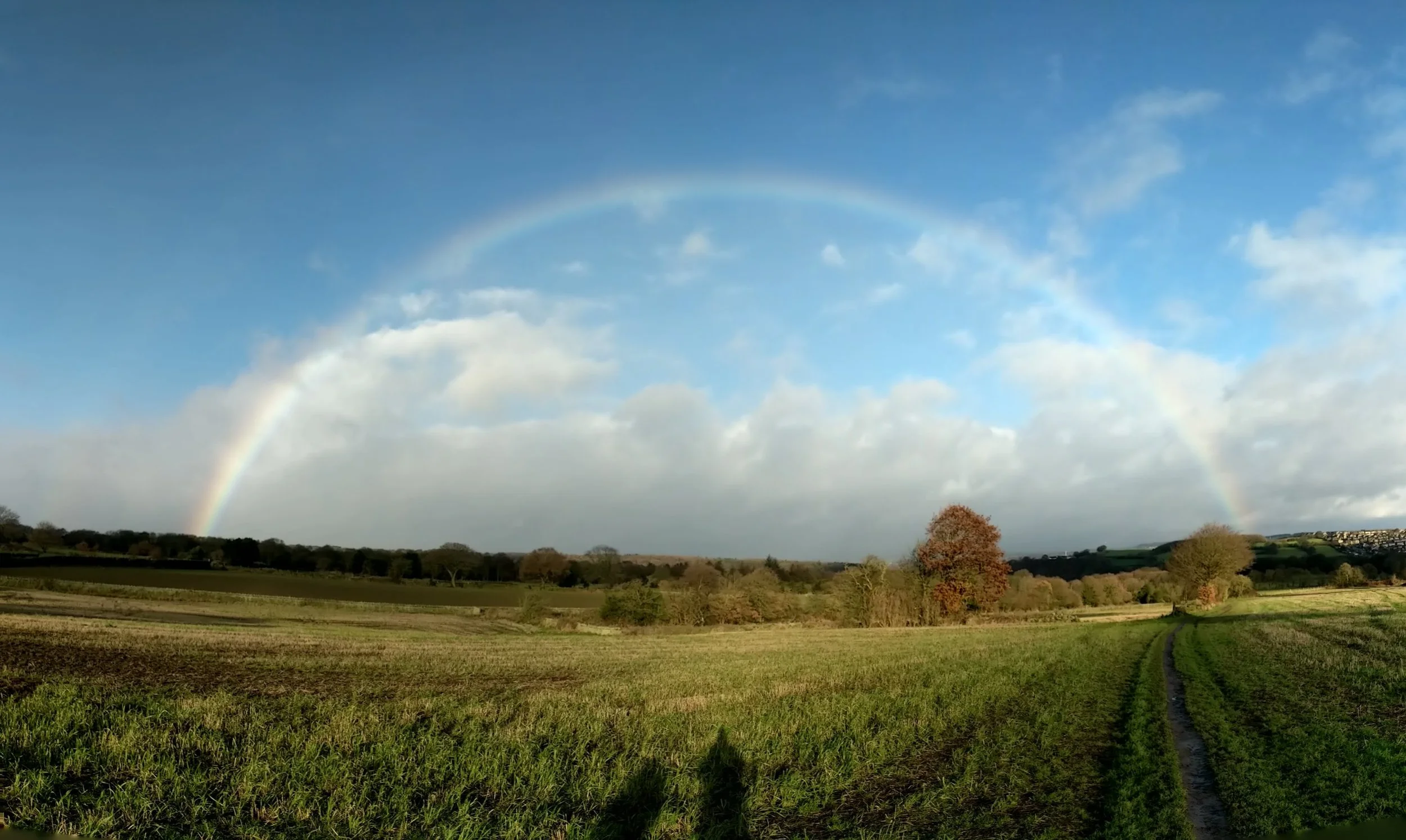 Consciousness and Nature as One