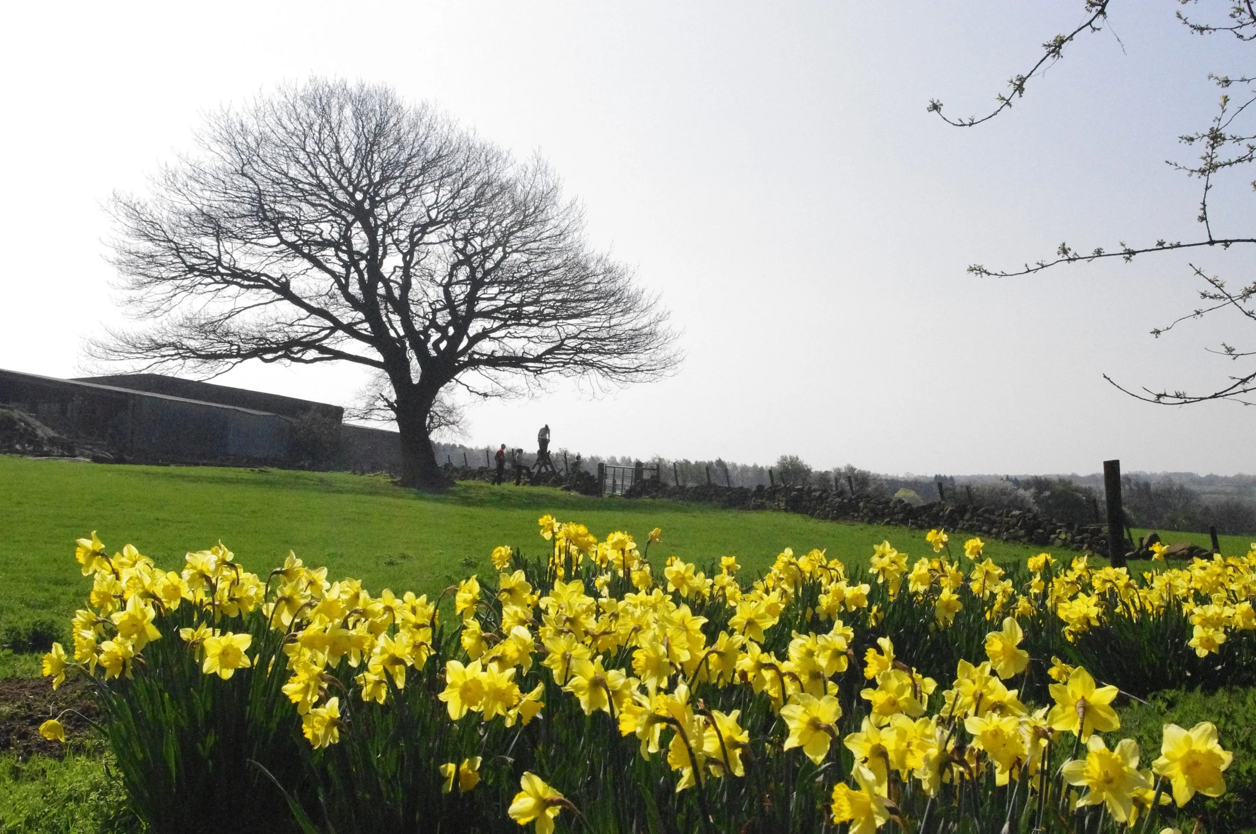 How does a coach know what you're thinking?