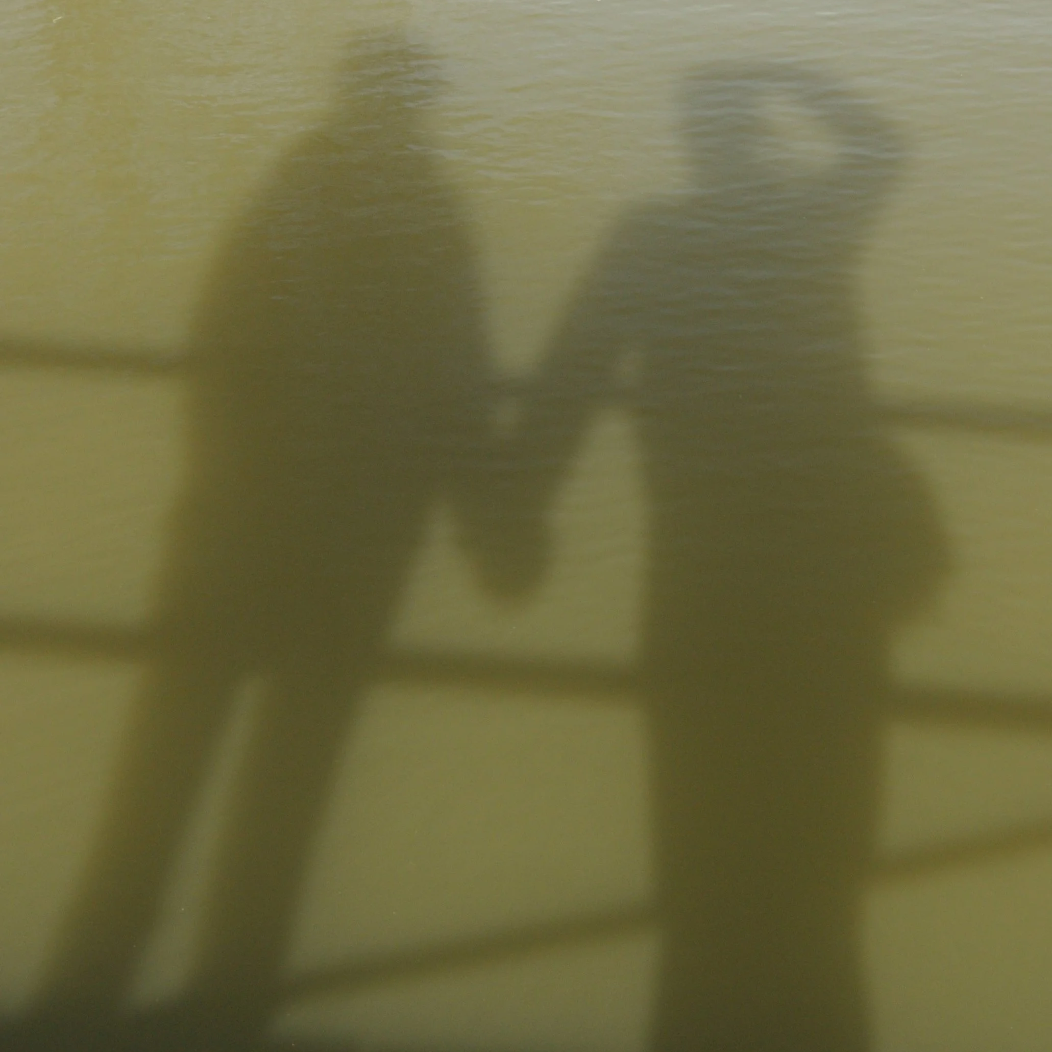 An picture of a shadow cast on the ripples of water of 2 people in love holding hands