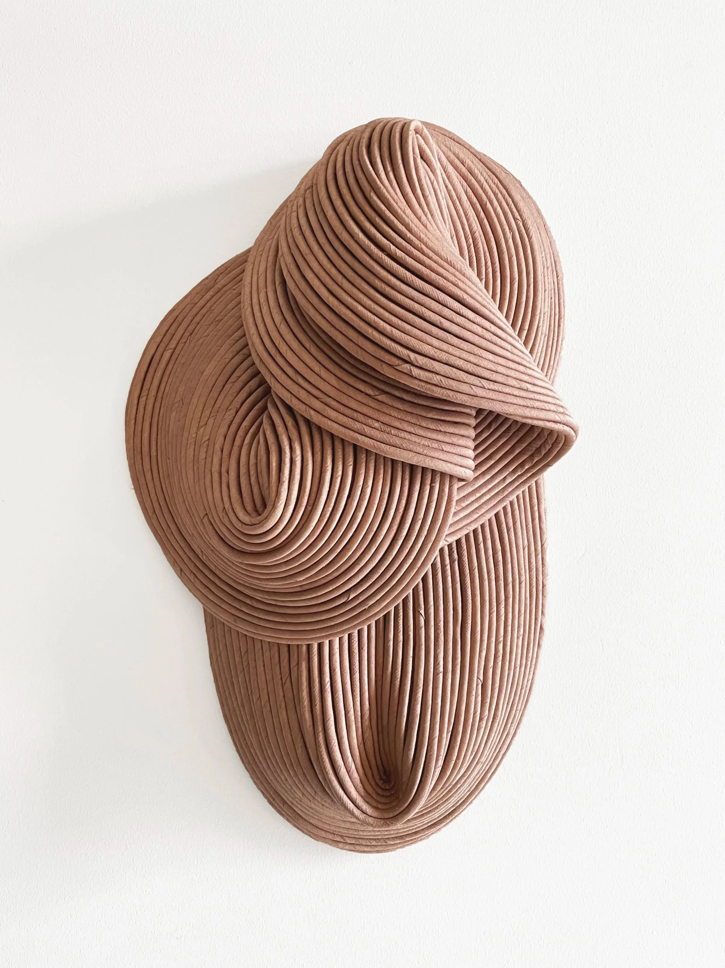Abstract 3D wall sculpture made of layered, curved, ridged material in shades of brown.
