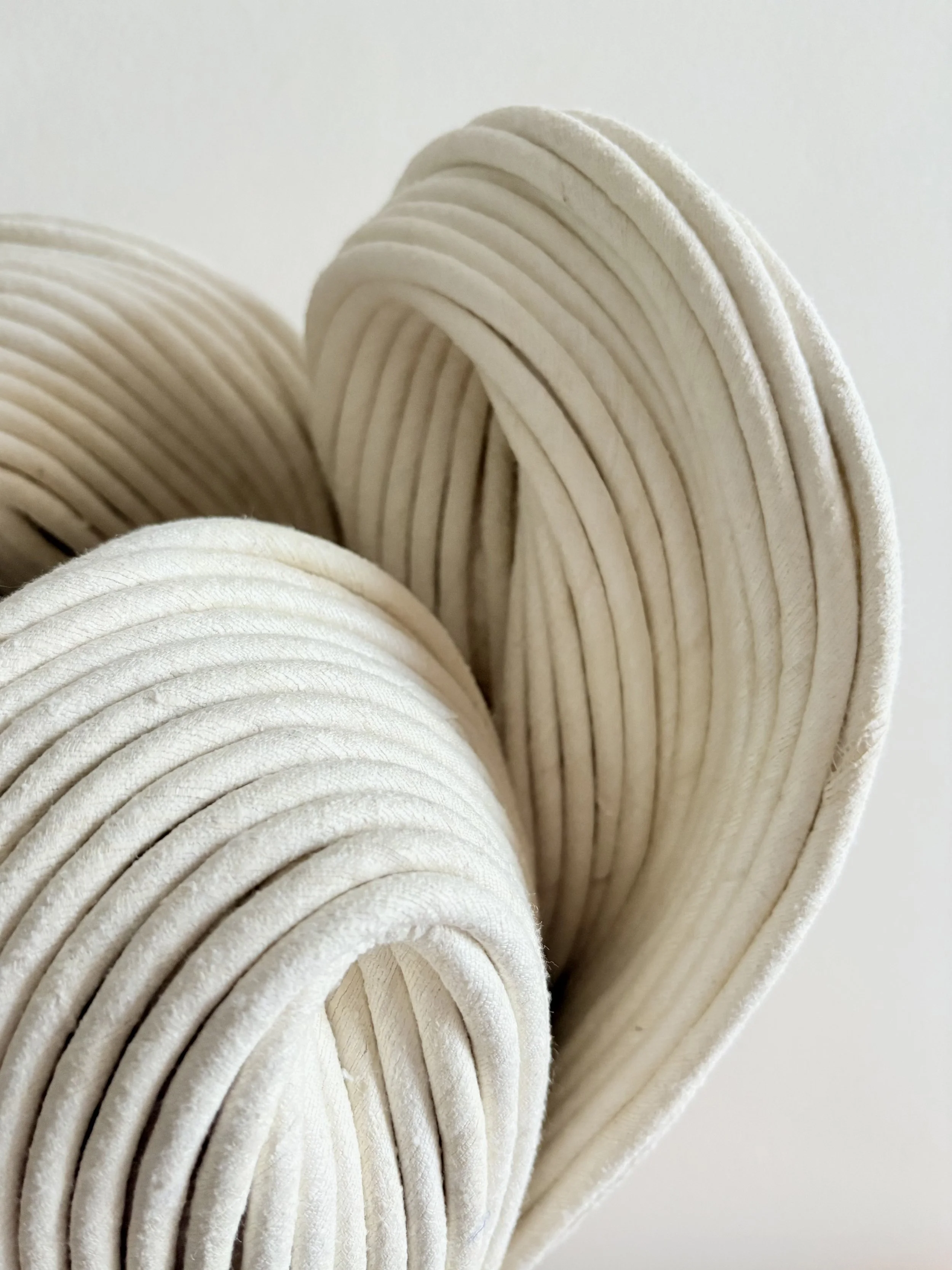 Sini Villi_Anemone_close.jpg