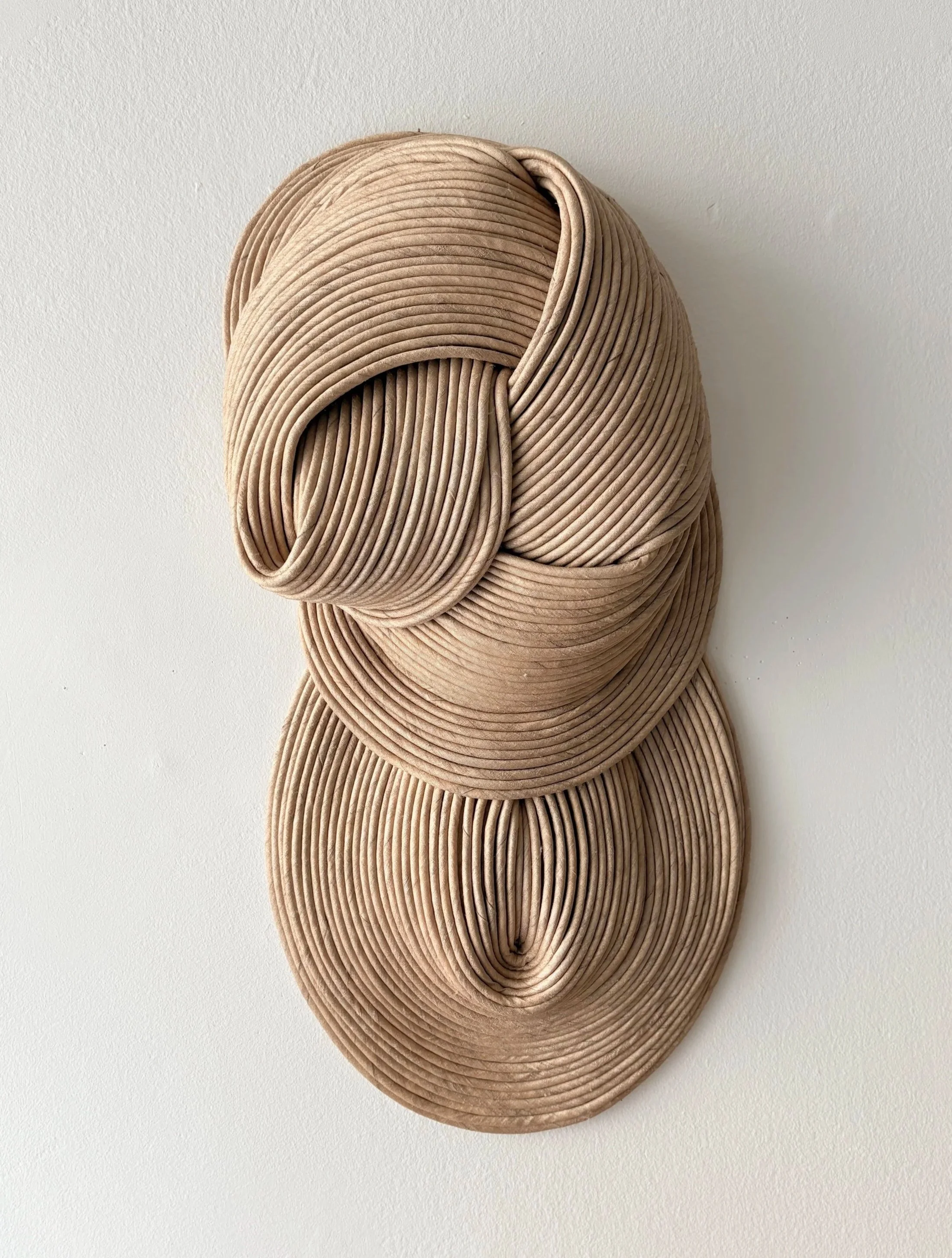 A sculpture made of multiple beige, cord-like, looped structures mounted on a white wall.