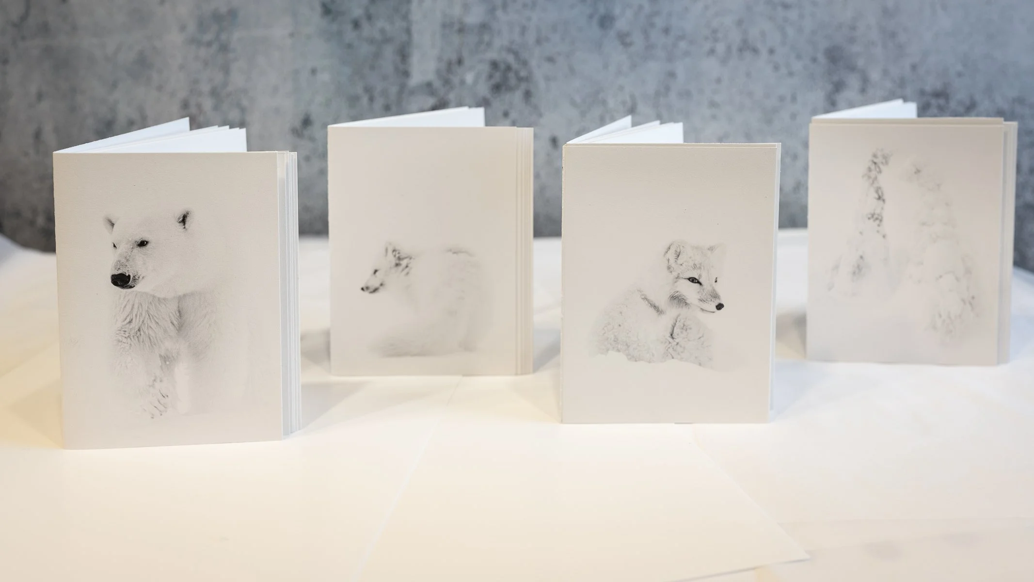 Arctic Christmas Cards (8 pack)