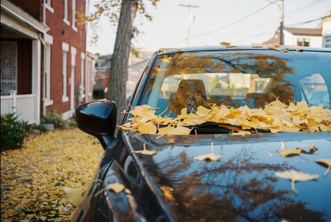 Pennsylvania Car Insurance Savings 101