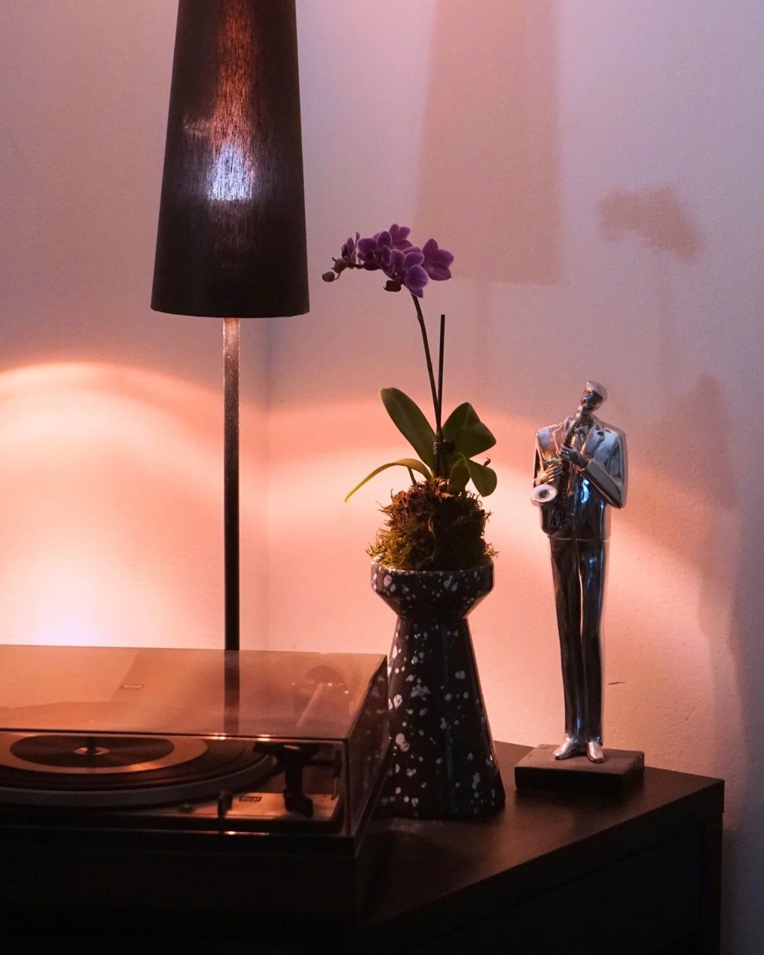 Kokedama sind mehr als Pflanzen &ndash; sie sind lebendige Designobjekte. Die in Moos gebundenen Pflanzen bringen Ruhe, Nat&uuml;rlichkeit und eine moderne &Auml;sthetik in jeden Raum. Ob h&auml;ngend oder liegend arrangiert: Kokedama k&ouml;nnen das