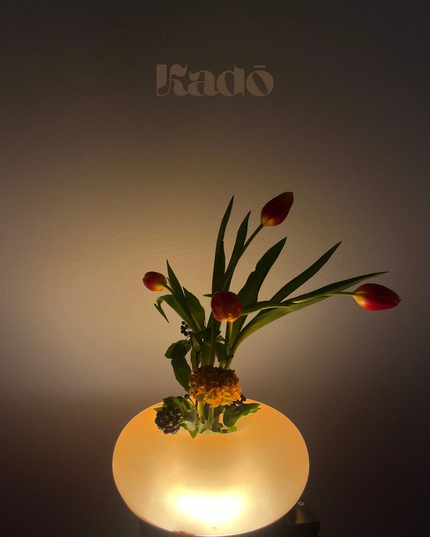 Tulpe | Ranunkel | Efeu