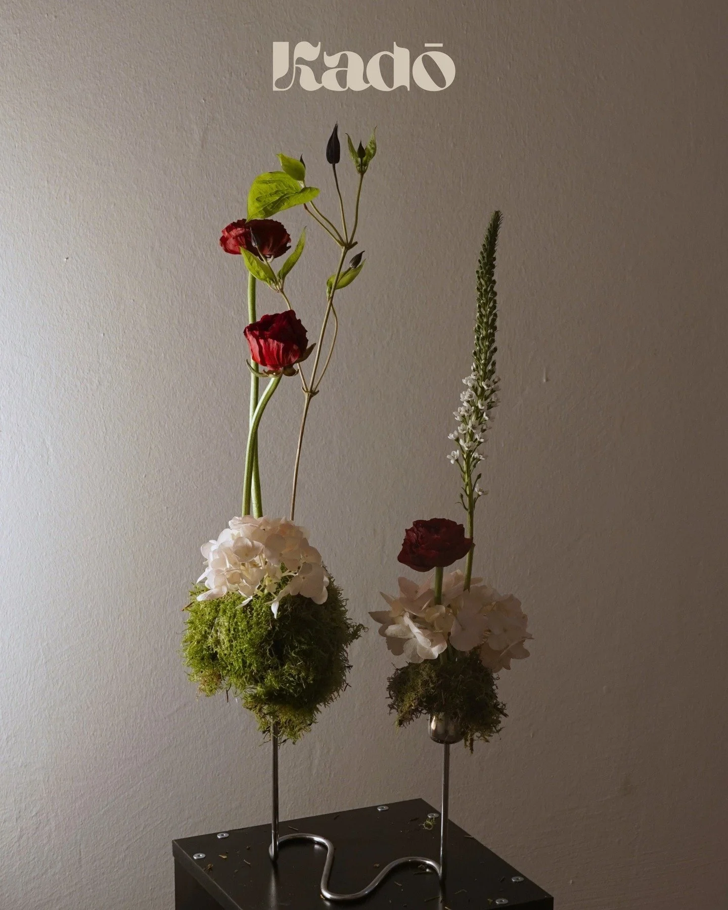 Veronica | Hortensie | Ranunkel | Klematis