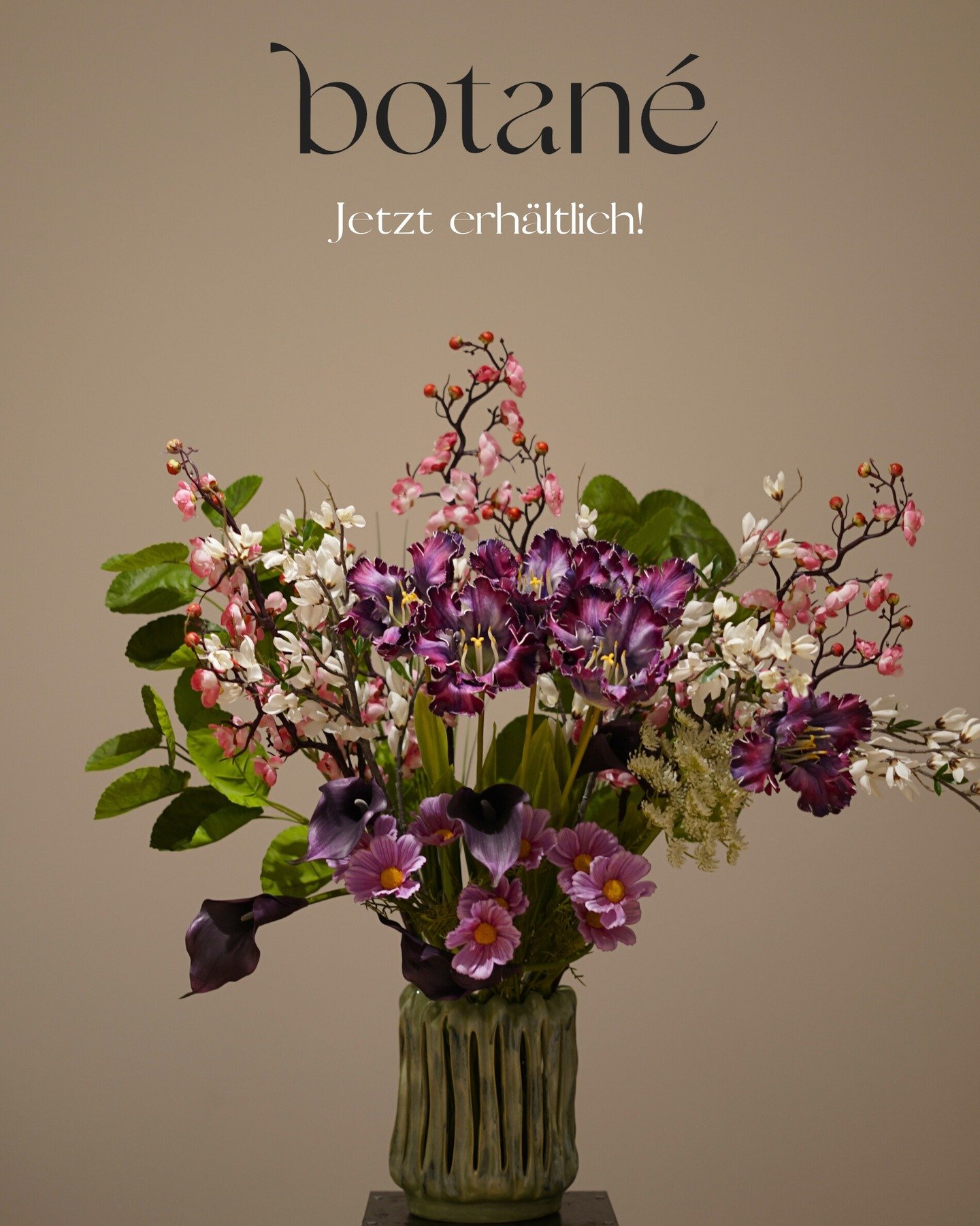 Neu bei uns: Kunstblumen von @botane_studios 
Wir sind stolz, als erstes Gesch&auml;ft in Wien die au&szlig;ergew&ouml;hnlichen Kunstblumen von BOTAN&Eacute; Studios anzubieten.

Zeitlose &Auml;sthetik, beeindruckende Qualit&auml;t und Designs, die b