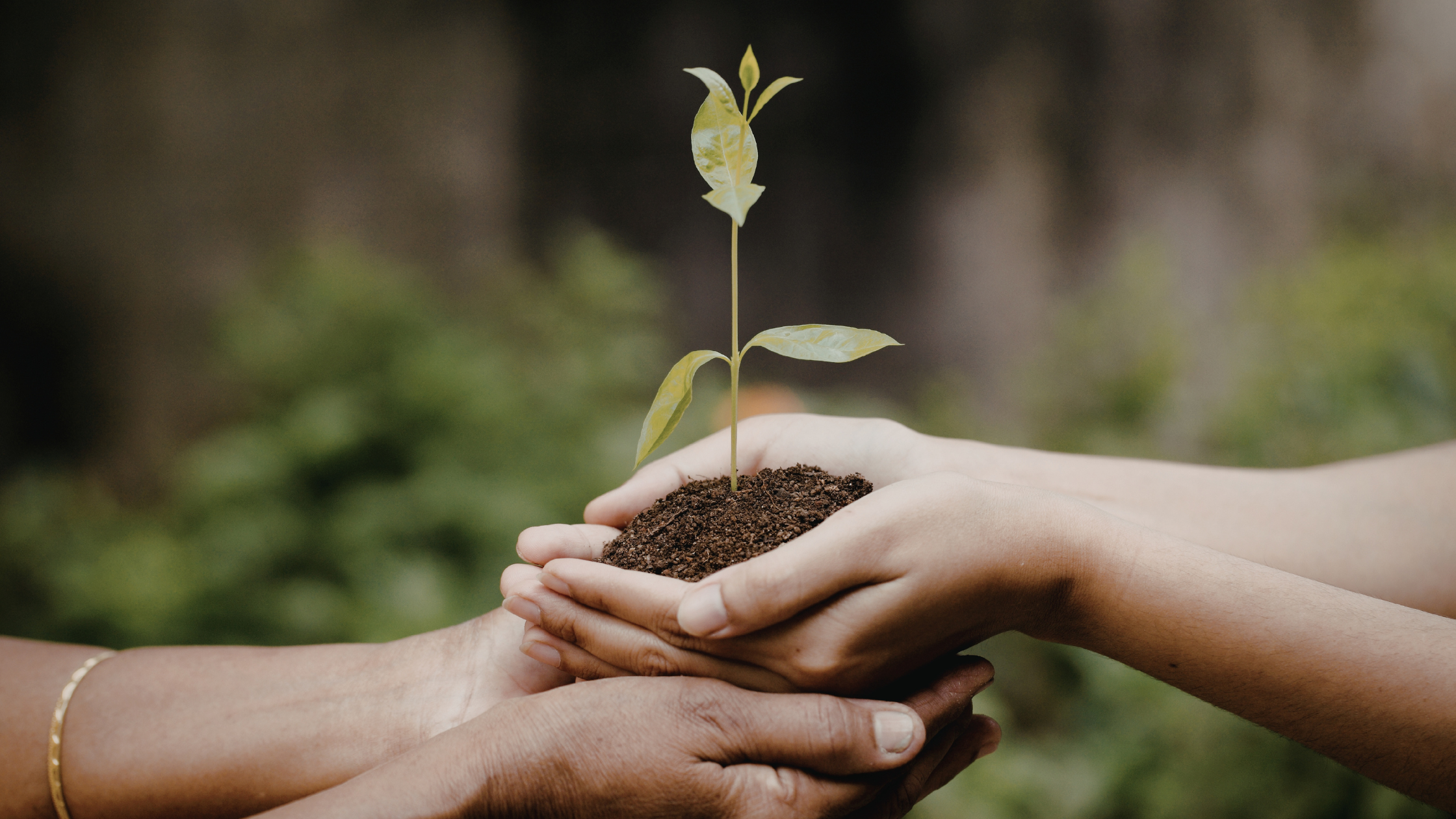 Permission to Bloom with ADHD: Embrace Growth, Confidence, and Change