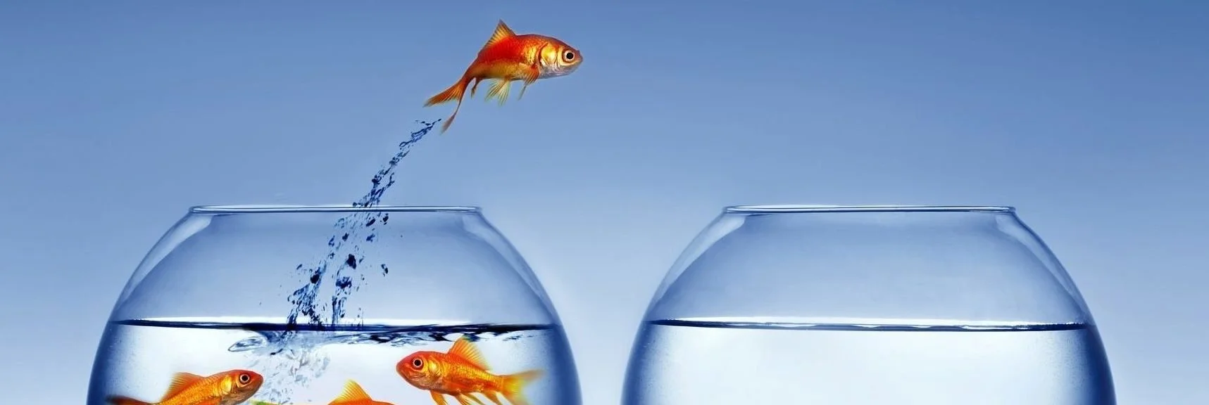 Giuseppe Palermo - A goldfish jumping from one fishbowl into another empty fishbowl.