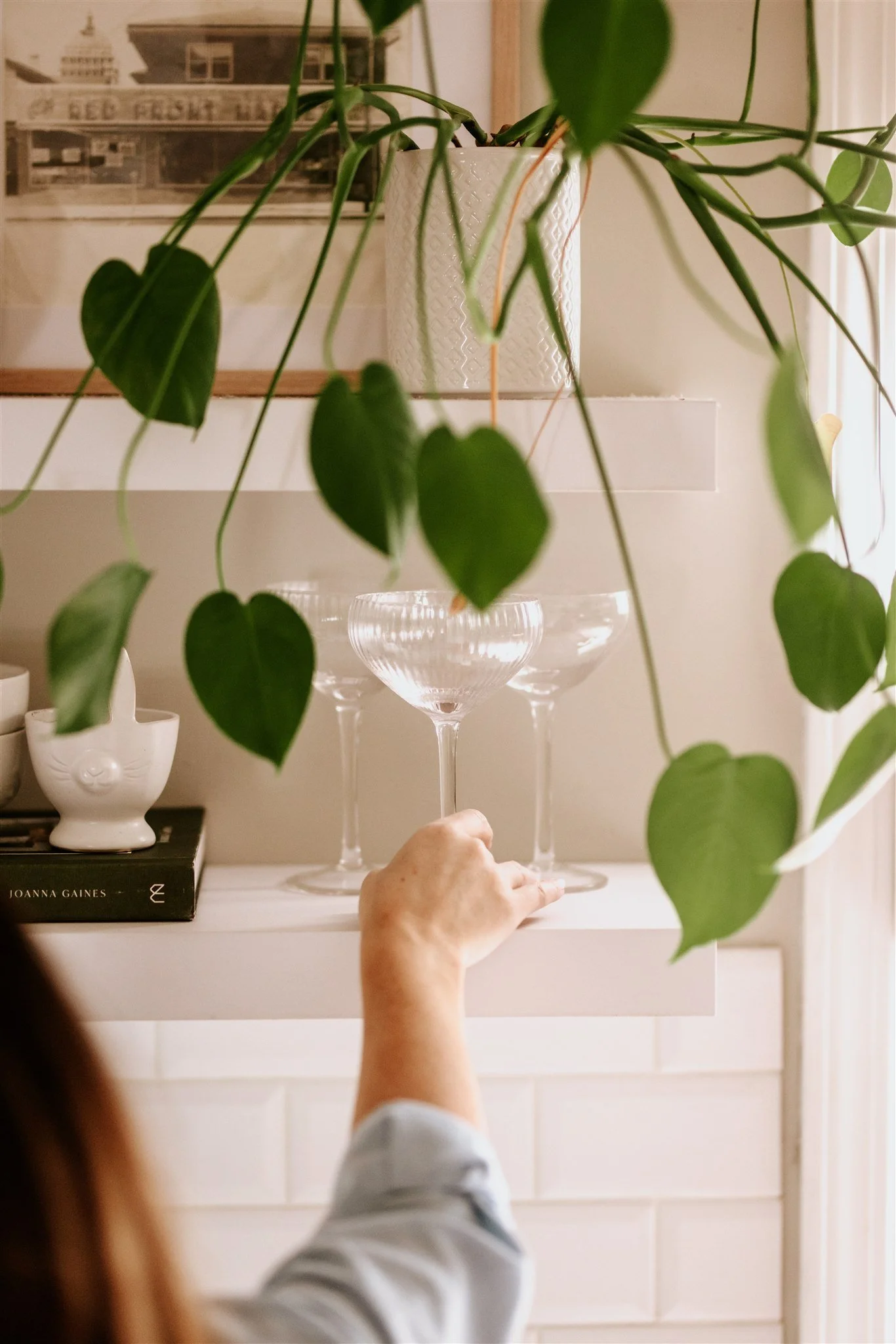 A person is placing a glass on a shelf surrounded by plants and decorative items, including a white vase and a black book.