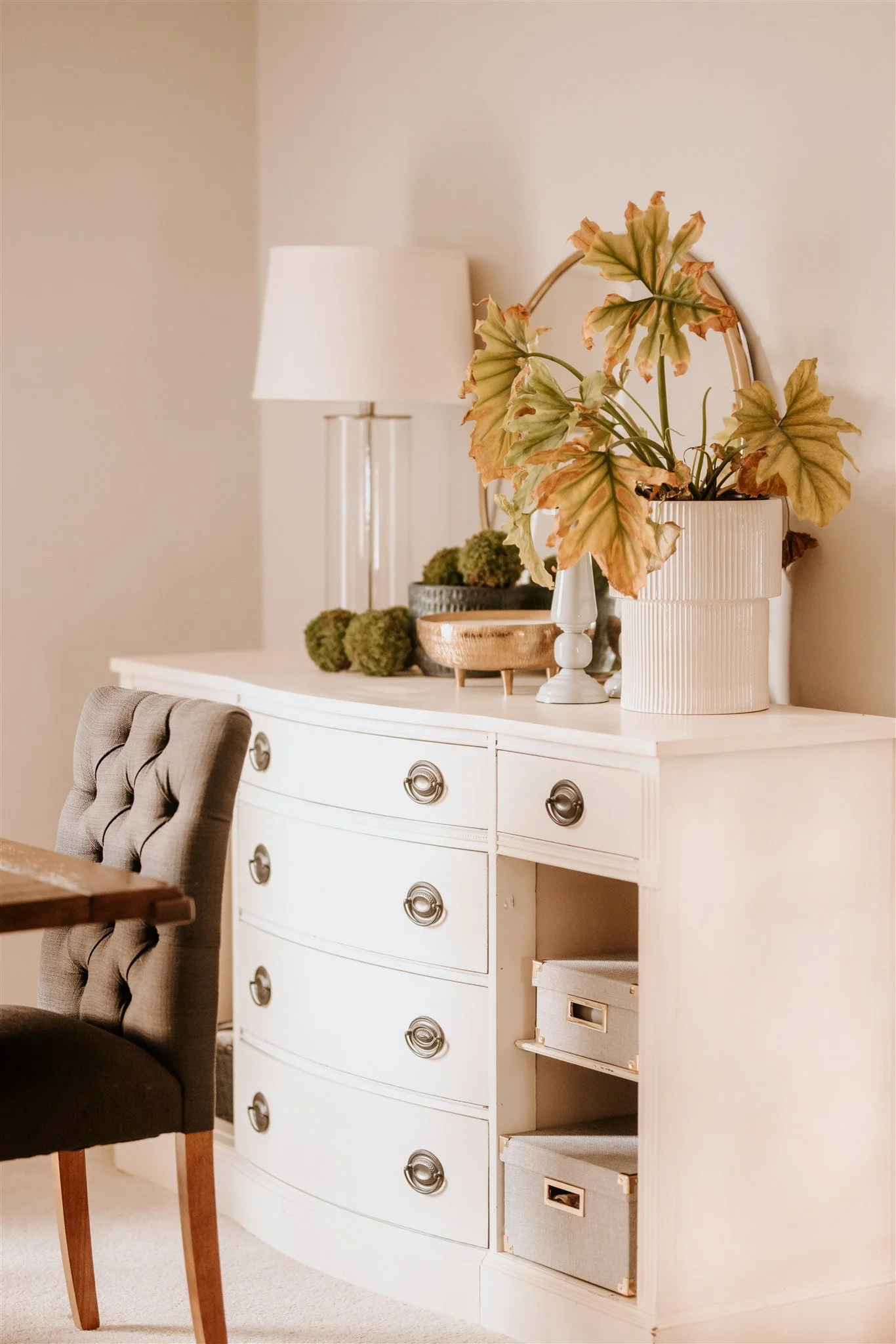 A white curved dresser with six drawers, some open shelves, and decorative knobs. On top, there's a tall white lamp, a large potted plant with green and yellow leaves, a smaller black pot with moss balls, a wooden bowl, and a small white pedestal wit