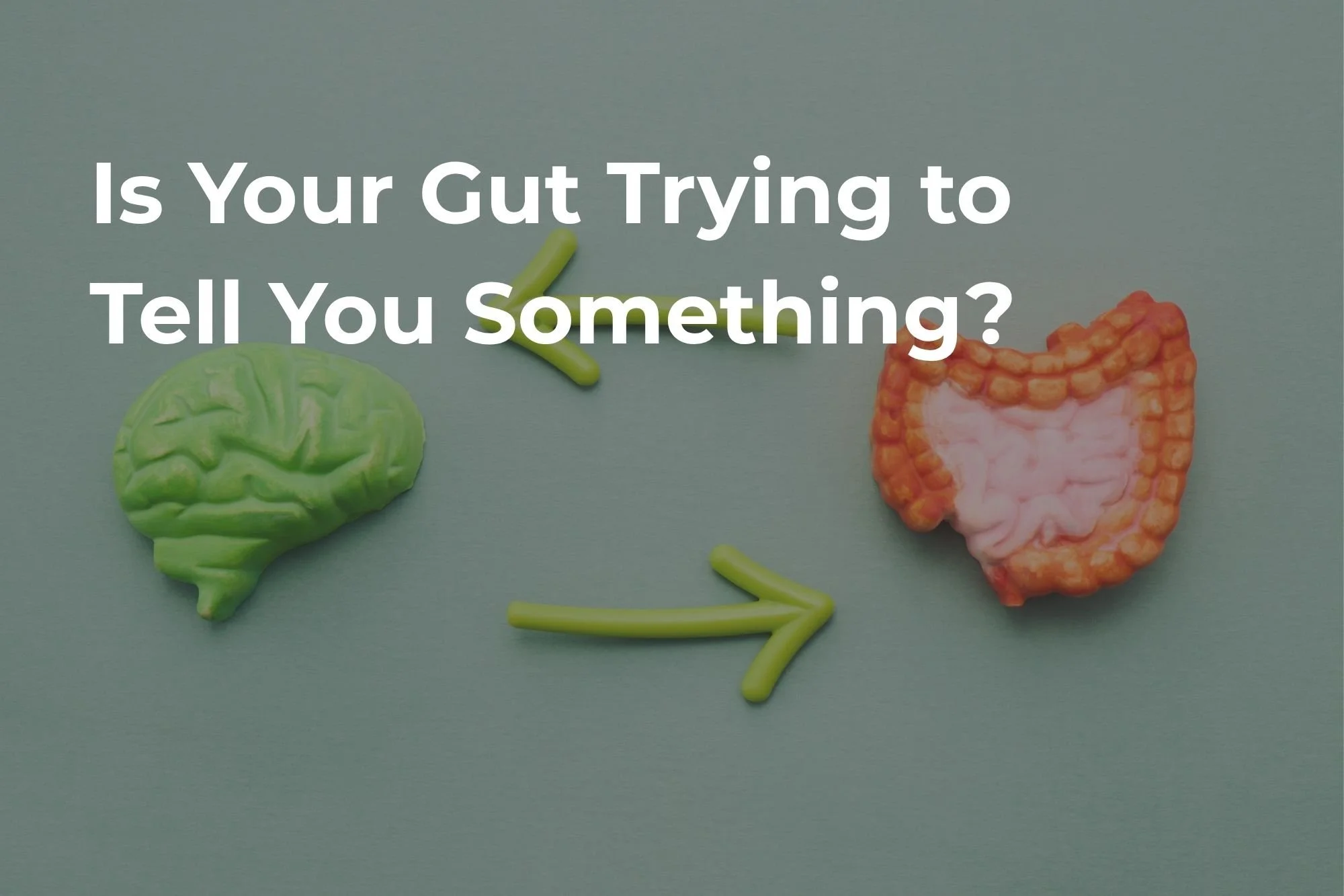 Is Your Gut Trying to Tell You Something?