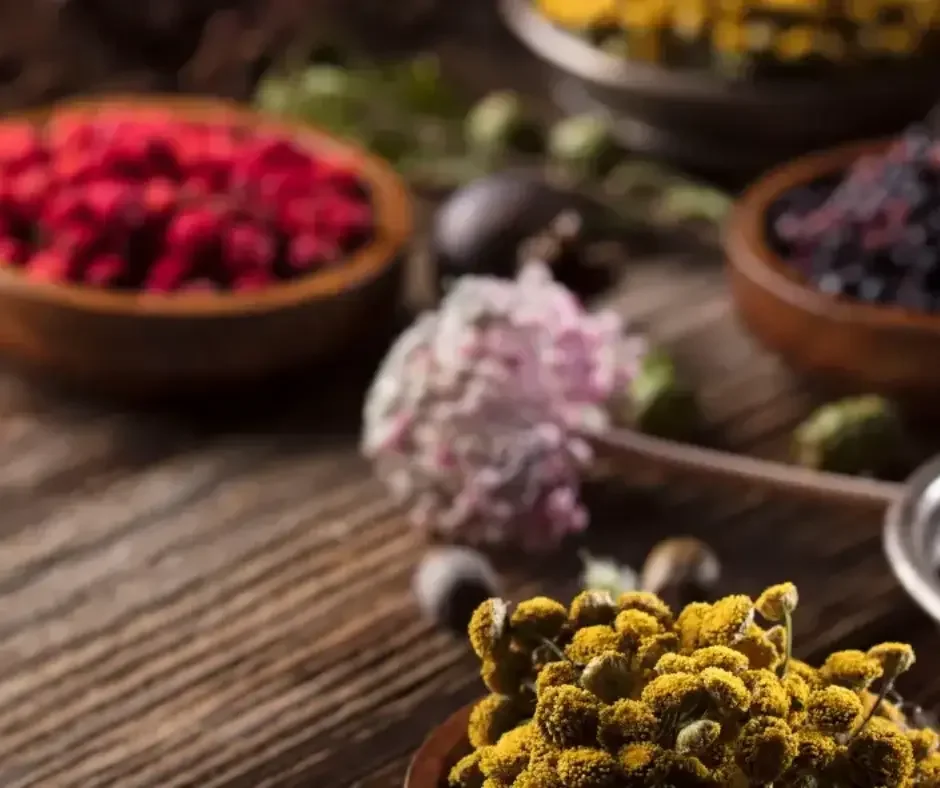 Dried medicinal herbs and botanical ingredients commonly used in naturopathic medicine.