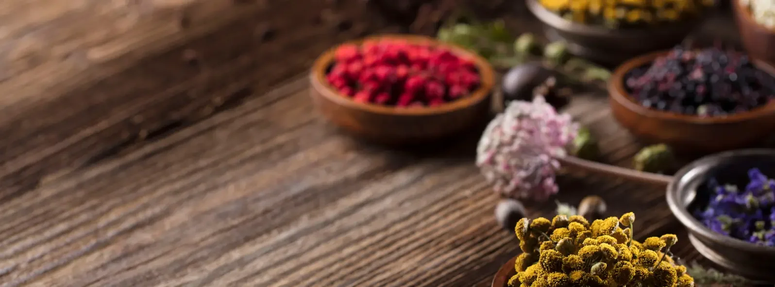 Dried medicinal herbs and botanical ingredients commonly used in naturopathic medicine.