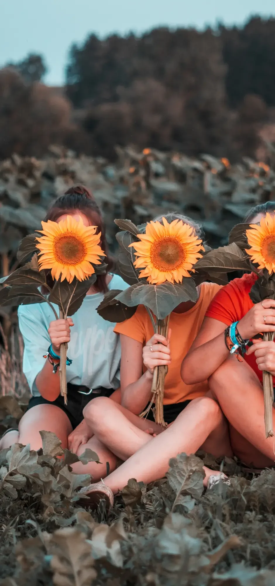 Three women sitting together outdoors holding sunflowers, representing friendship, support, and community throughout every stage of women's health, including perimenopause and menopause.