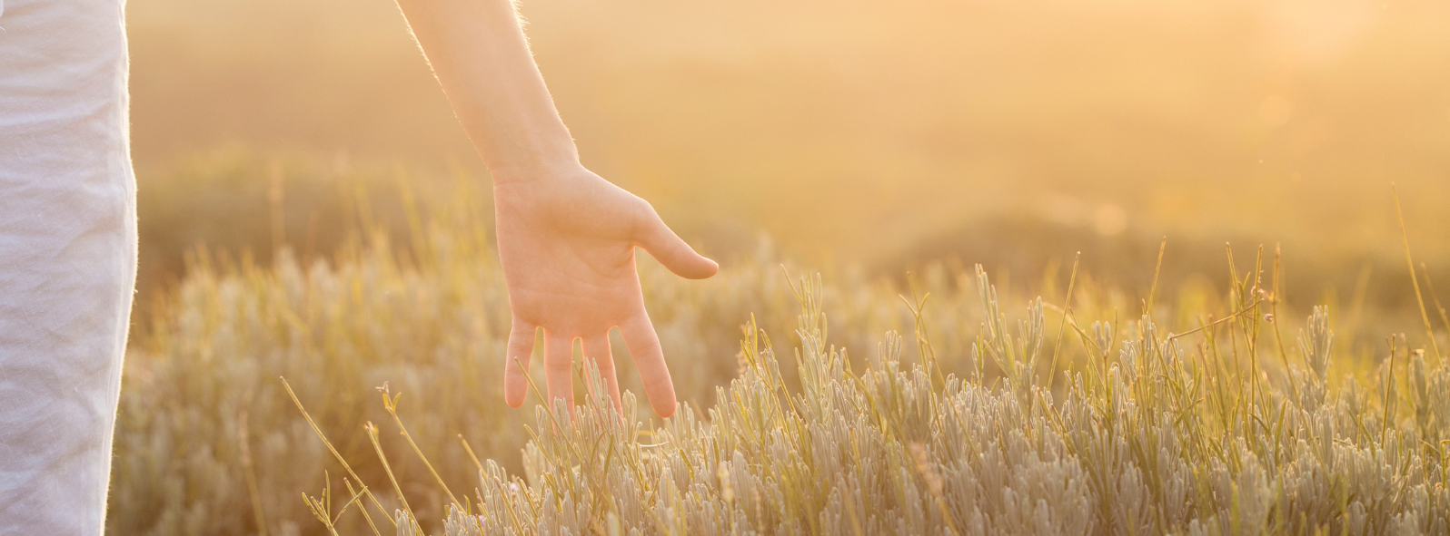 Person connecting with nature to support hormone balance, stress resilience, and overall wellness through integrative care