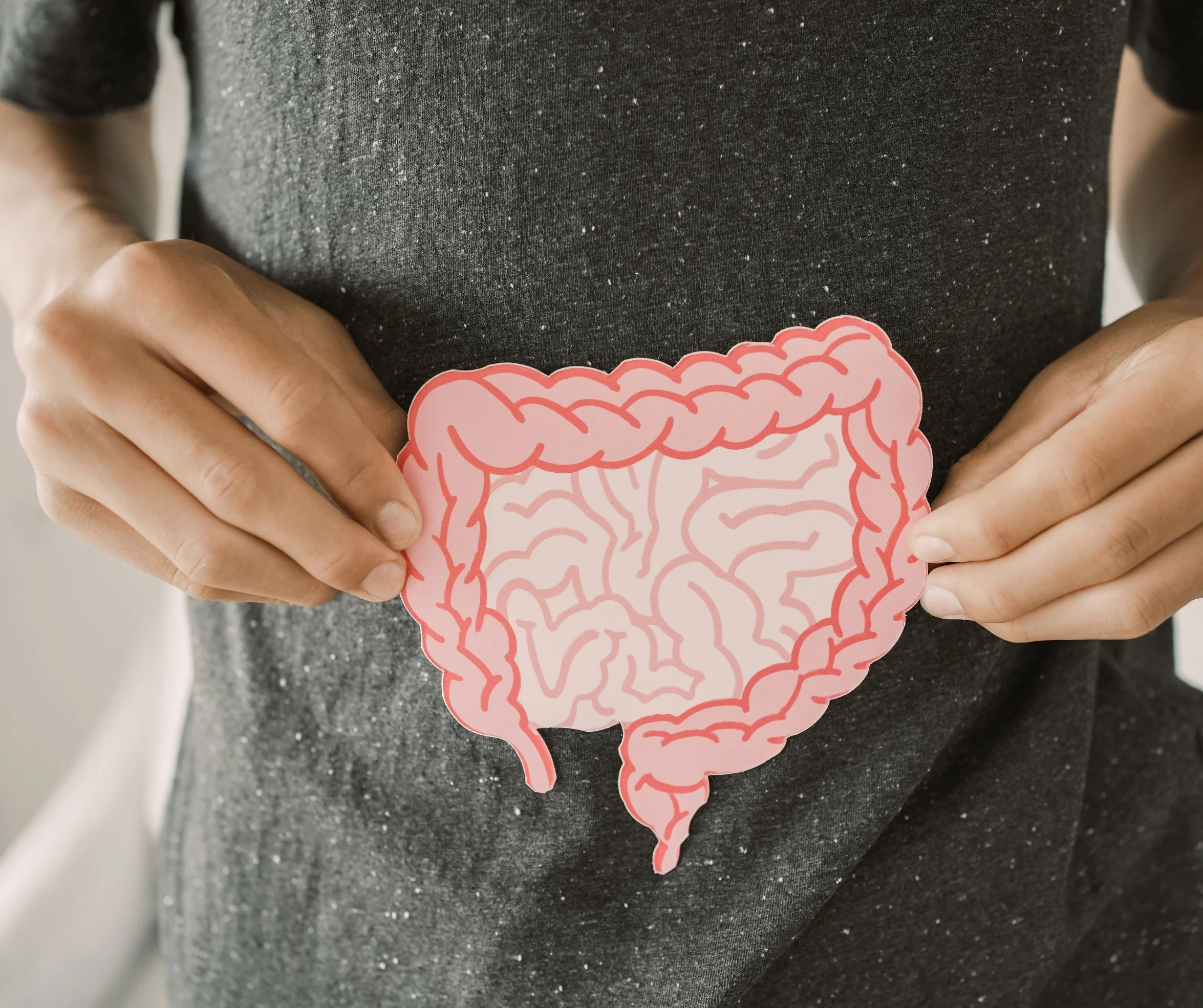 Person holding an illustration of the digestive system to represent gut health, food sensitivities, and digestive wellness support.