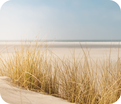 Beach scene with sand dunes and tall grass under a cloudy sky.