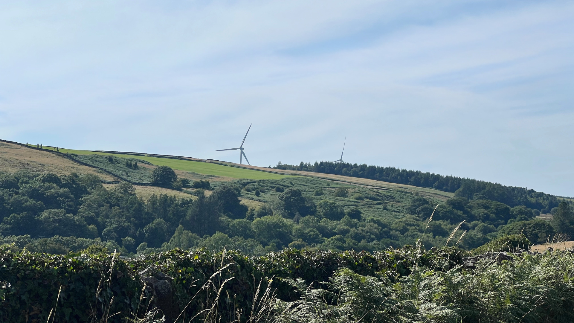 Landscape of rolling green hills with wind turbines on the hilltop, surrounded by trees and bushes, under a partly cloudy sky.