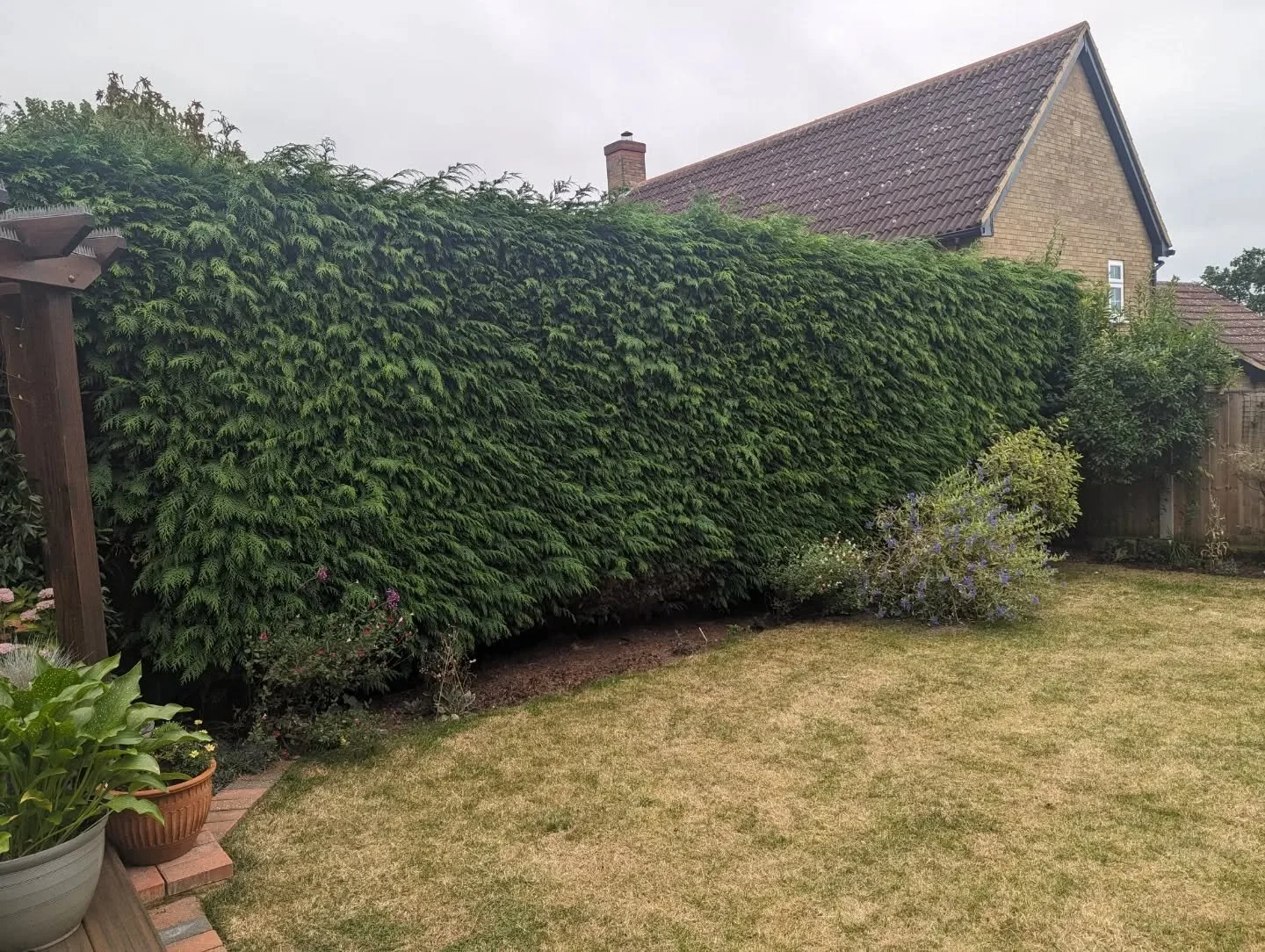 A nice easy hedge cut this morning

#hedgecutting #stihl #gardenmaintenance