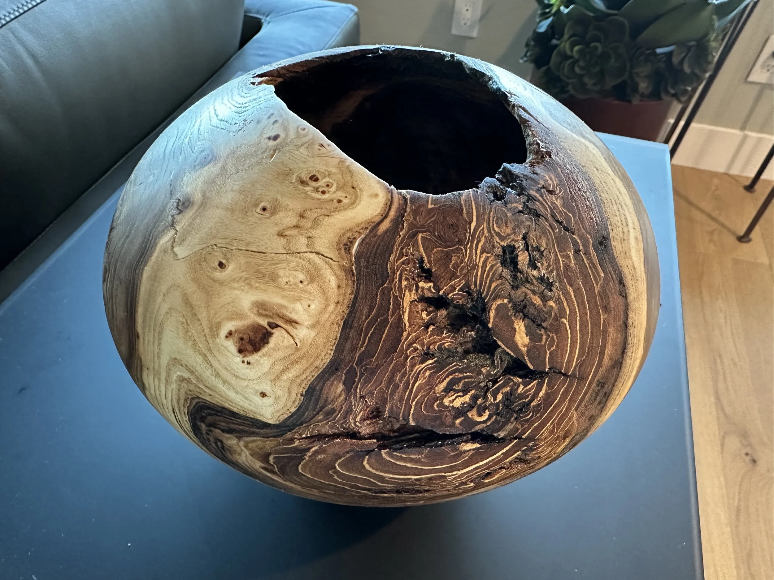 Elm Hollow Form.jpeg