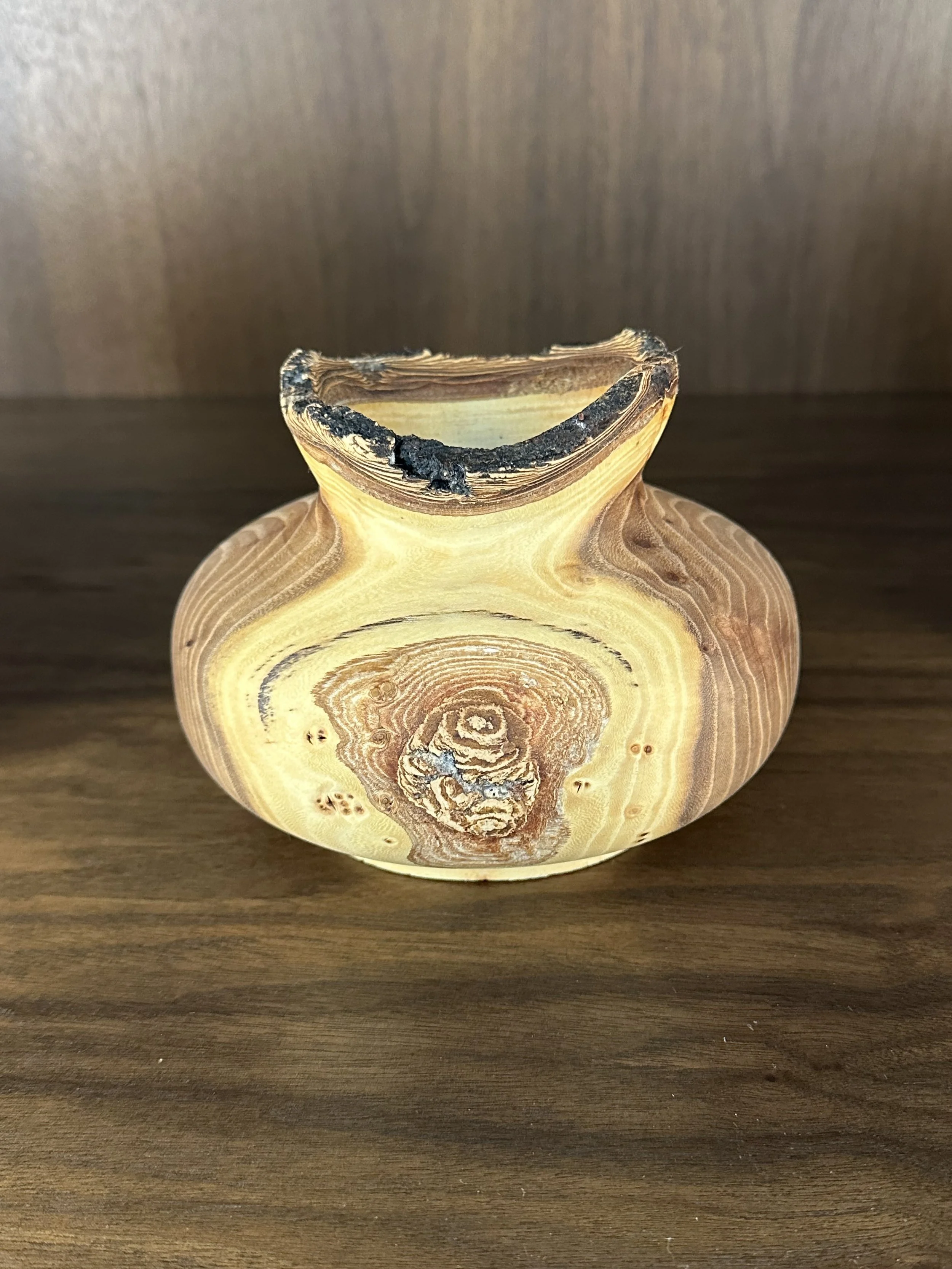 Elm Live Edge Pot.jpeg
