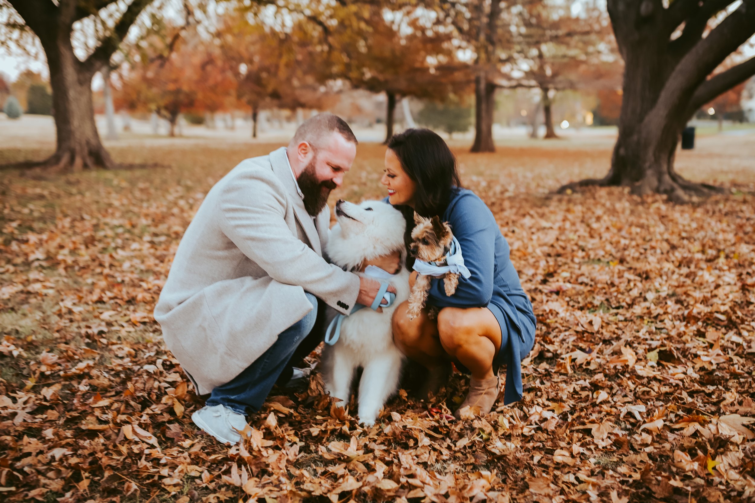 A couple and two dogs in a park with fall foliage, smiling and interacting with the dogs.
