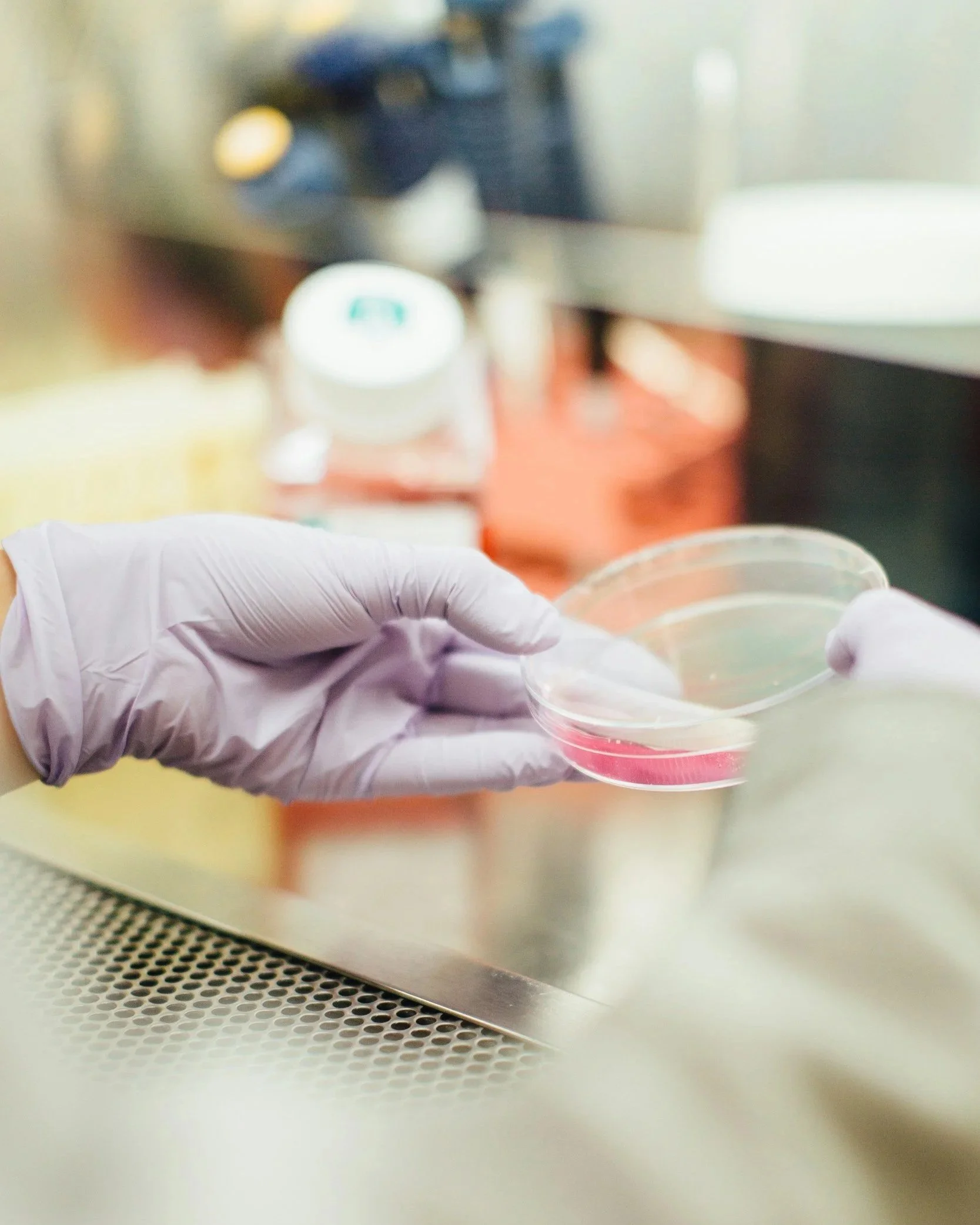 A gloved hand holding a petri dish with red-colored substance in a laboratory setting.