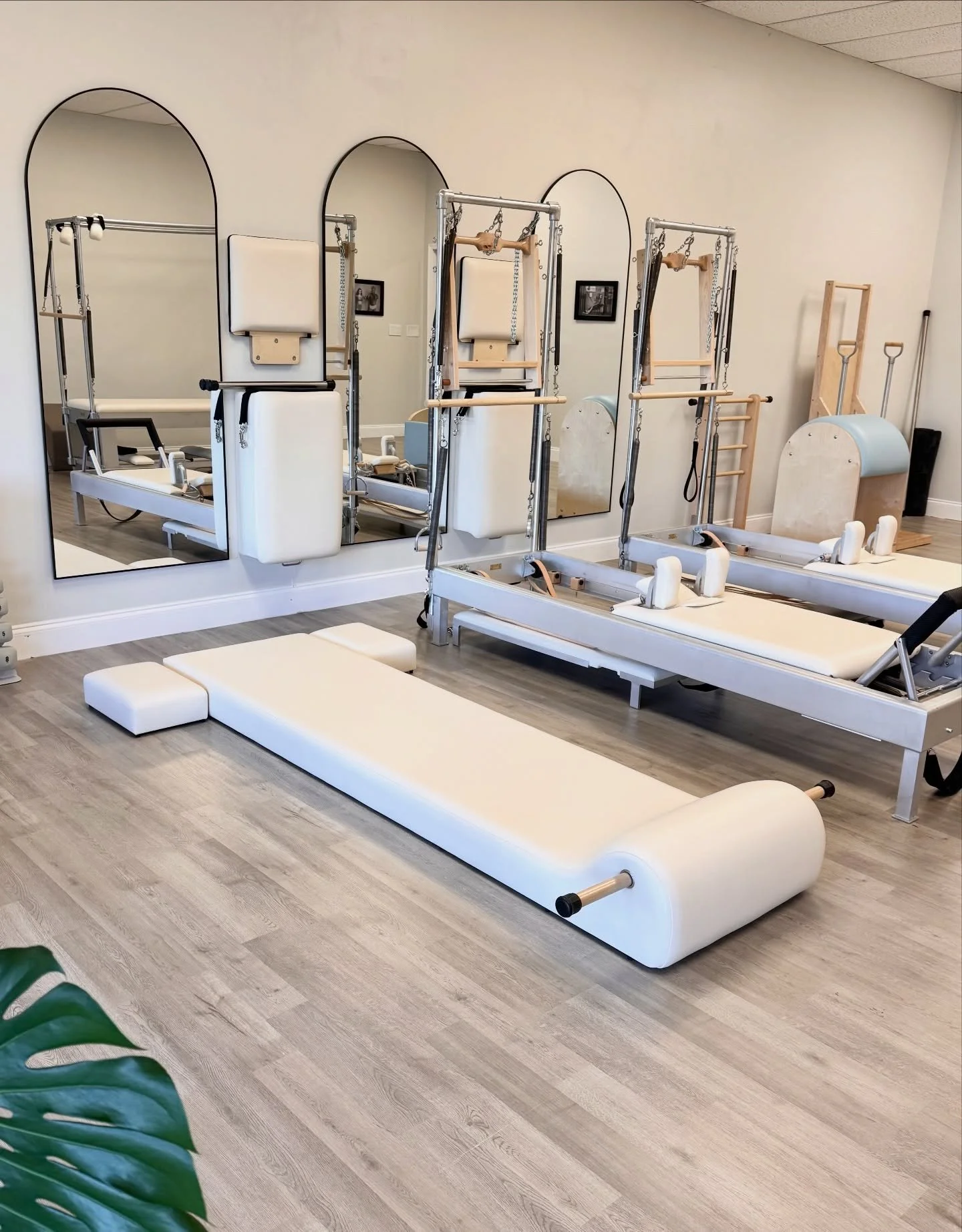 In our Classical Pilates element✨

Book your session today at Body Contrology Lab

#contrology #classicalpilates #classicalpilatesstudio #pilateswithpurpose #jupiterflwellness