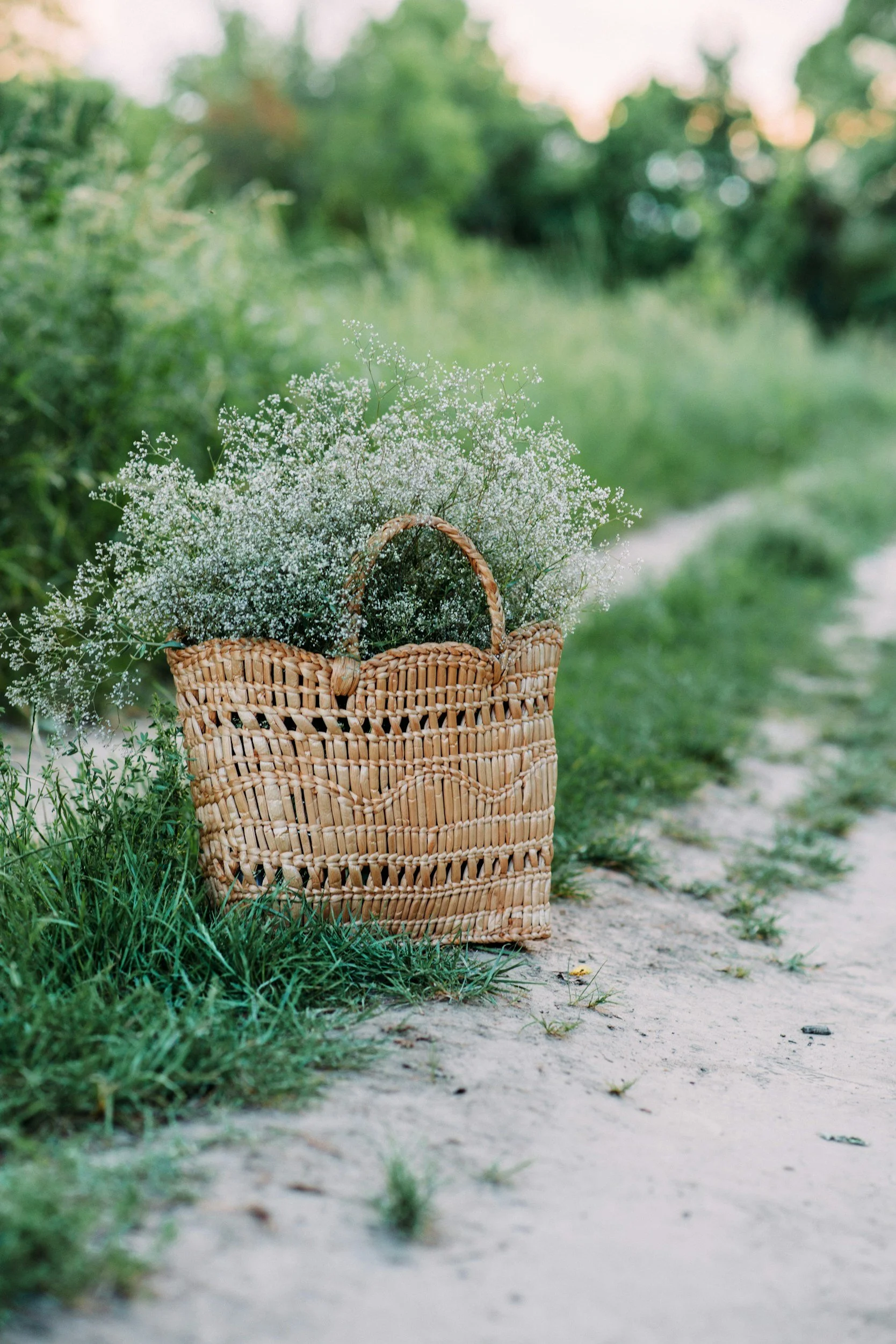 A wicker basket filled with white wildflowers resting on the edge of a dirt and grass path, surrounded by green foliage.