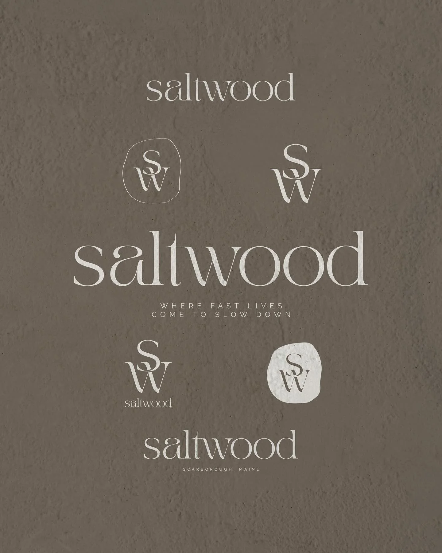 @saltwoodwellness branding is a whole vibe 💧one of my favorite projects to date with fully customized typography and subtle details like the droplet in the &ldquo;a&rdquo; 

Branding Lite is my most popular branding option these days so I wanted to 