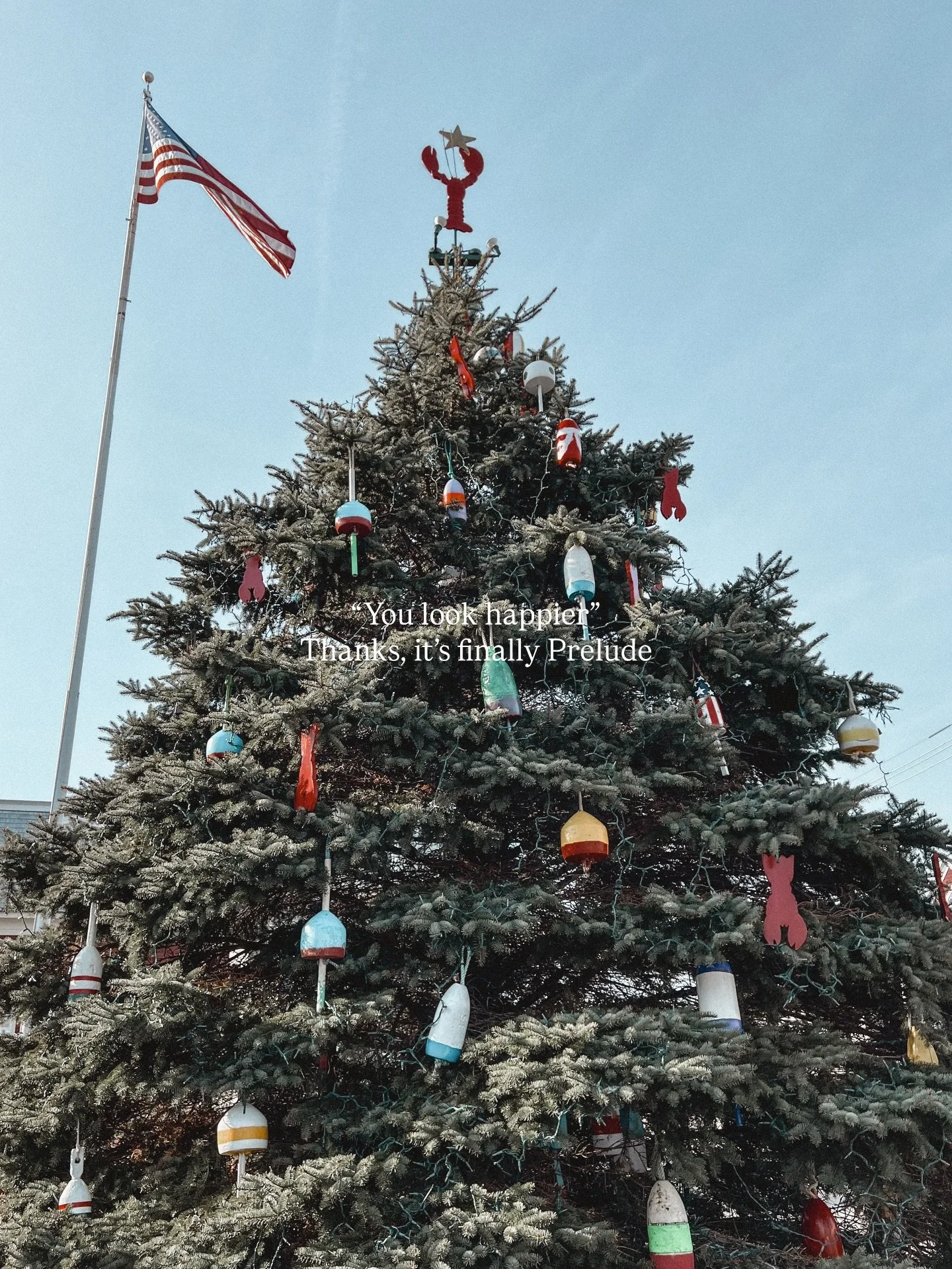 Happy Prelude to all who celebrate 🦞🎄