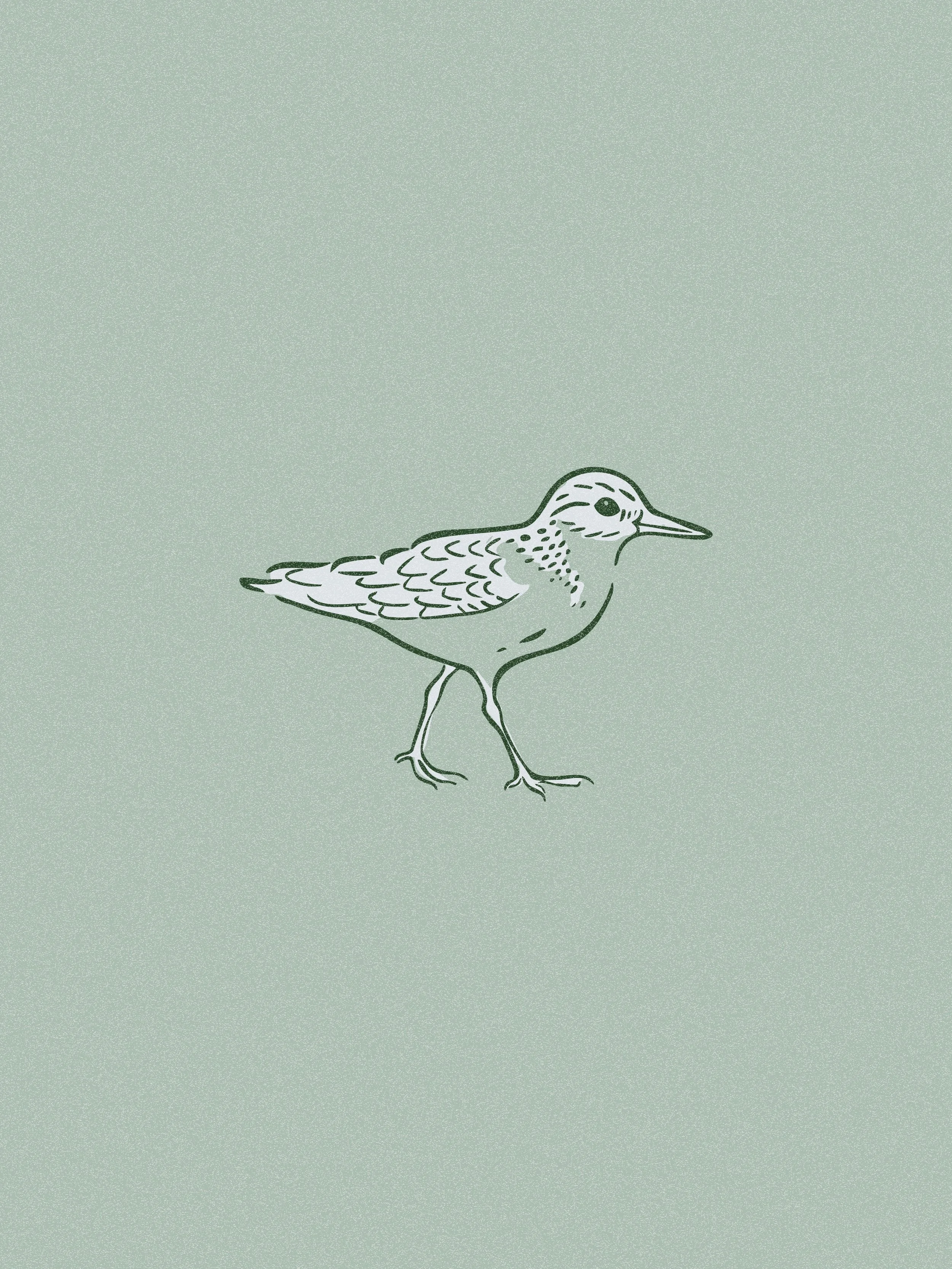 Sneak peak at what&rsquo;s on my screen this week 👀

1. Illustrated brand icon set for a coastal Maine Inn 
2. Moodboard for a specialty cabinetry showroom
3. Merch illustrations for a cabin retreat 

Always a wild variety of projects, aesthetics an