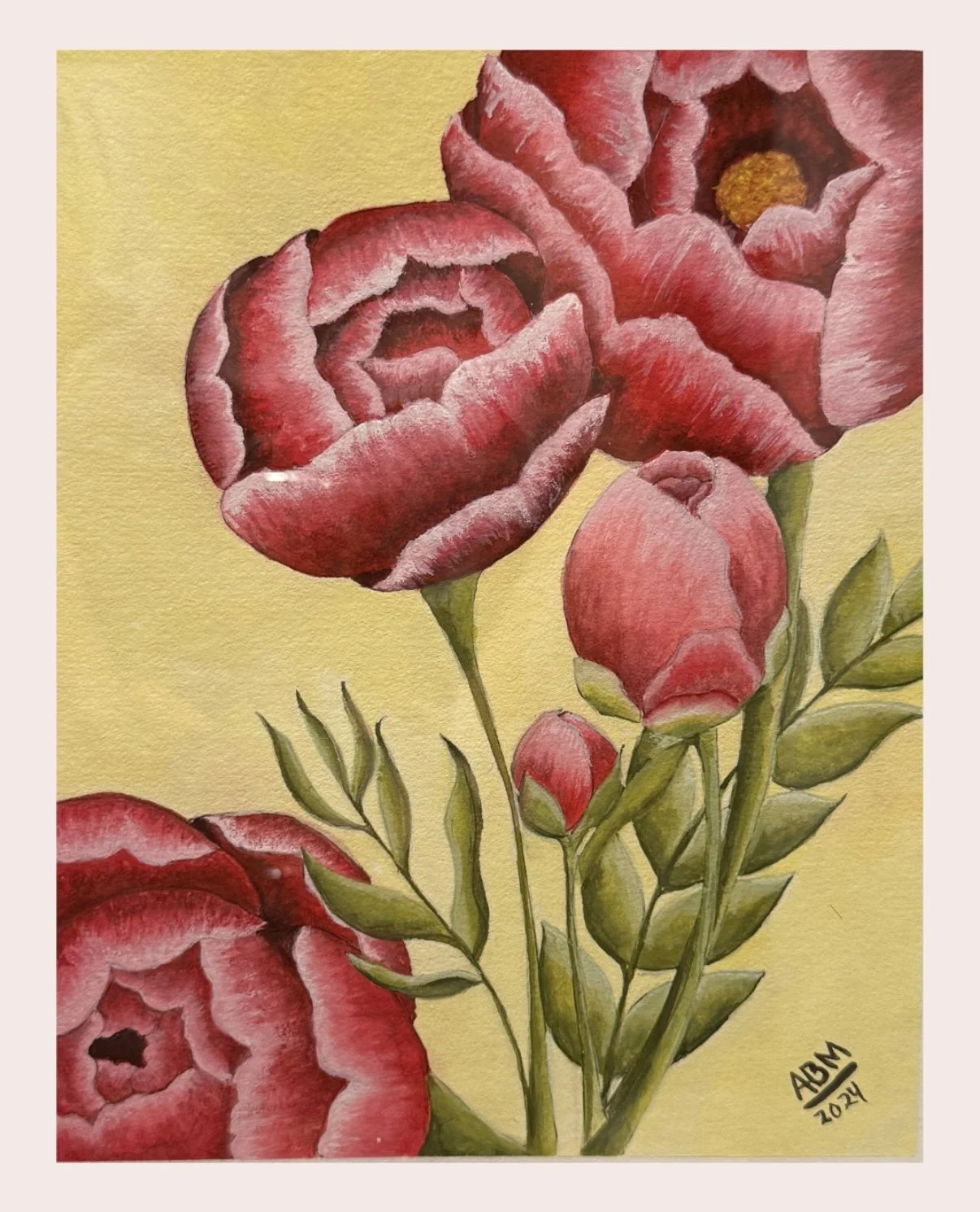 Peonies - 2024 - Gouache on Paper