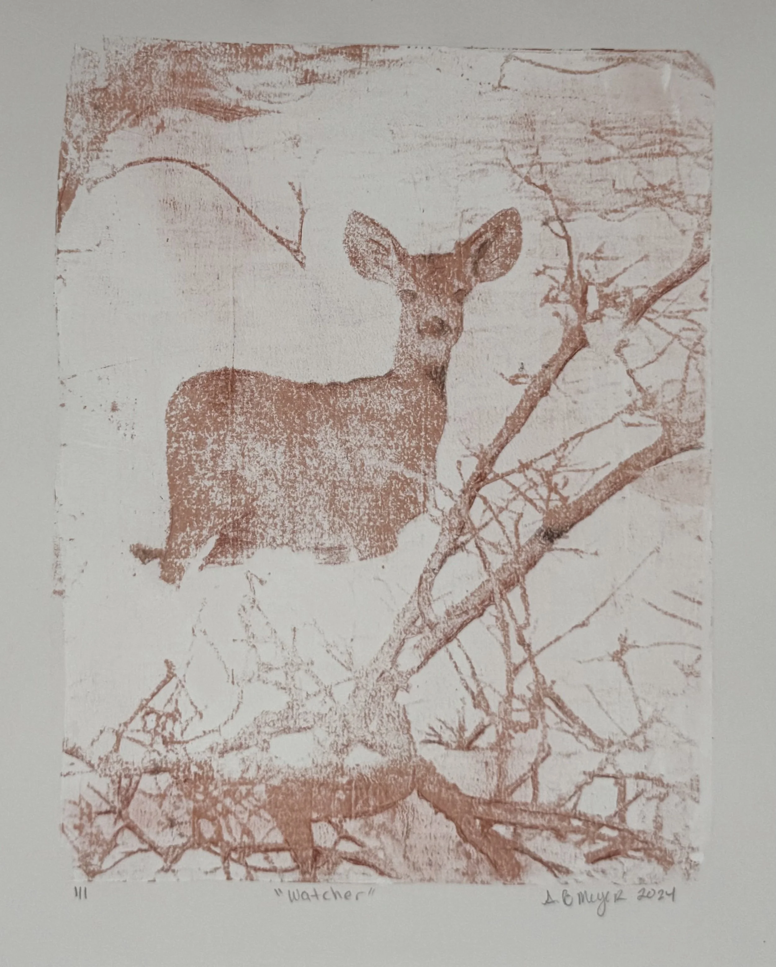 Watcher - 2024 - Acrylic & Graphite on Paper