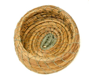 Pine_Needle_Basketry_Green_Thread.png