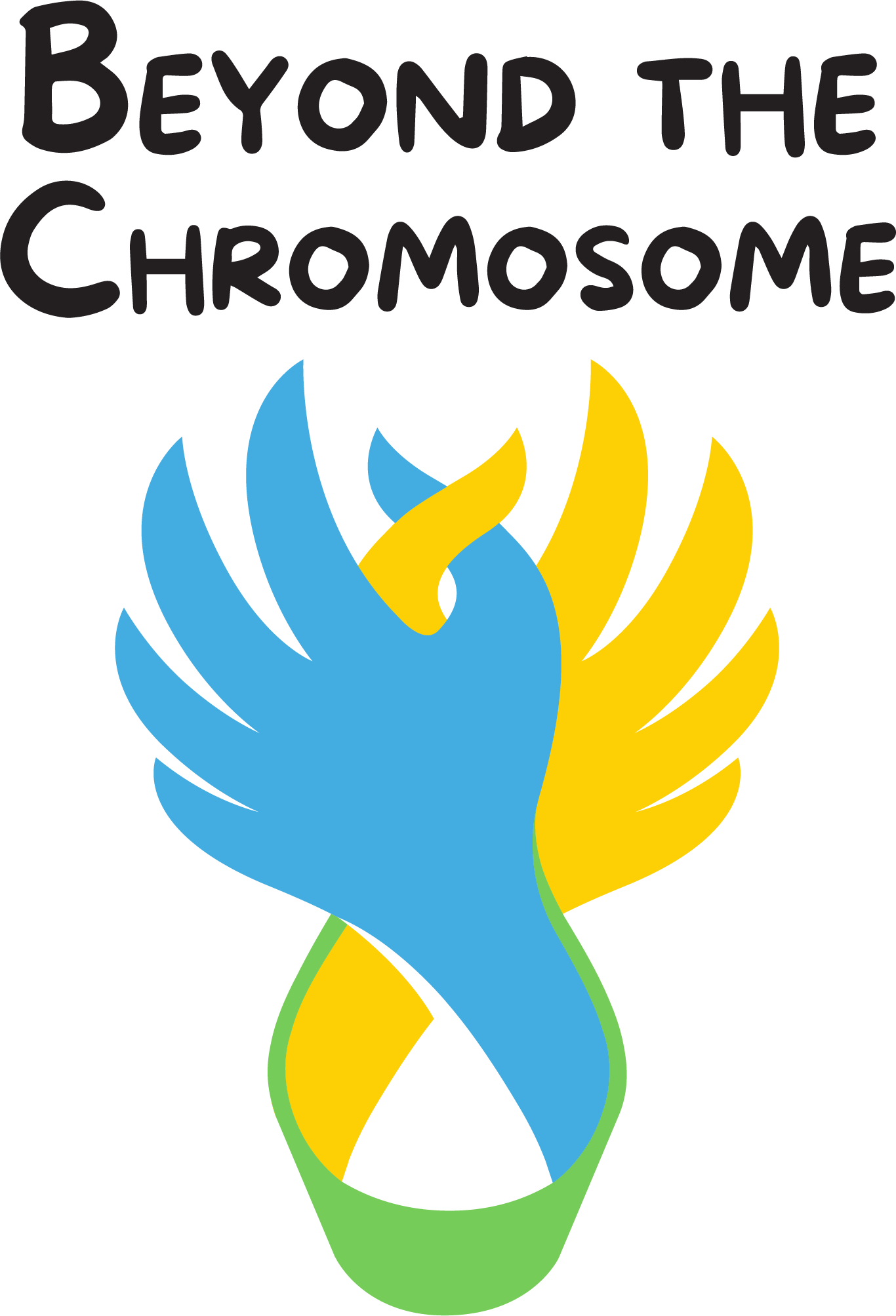 Beyond The Chromosome